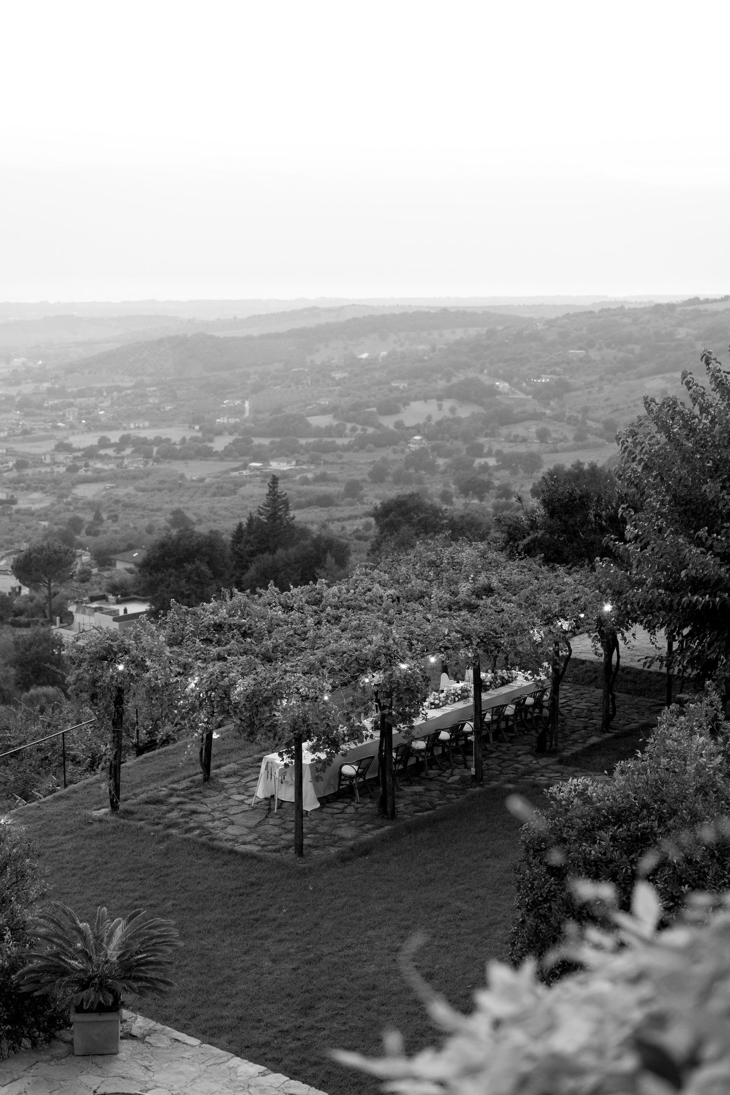 Black and white panoramic view of a hillside garden terrace with trees and people gathered on a sunny day.