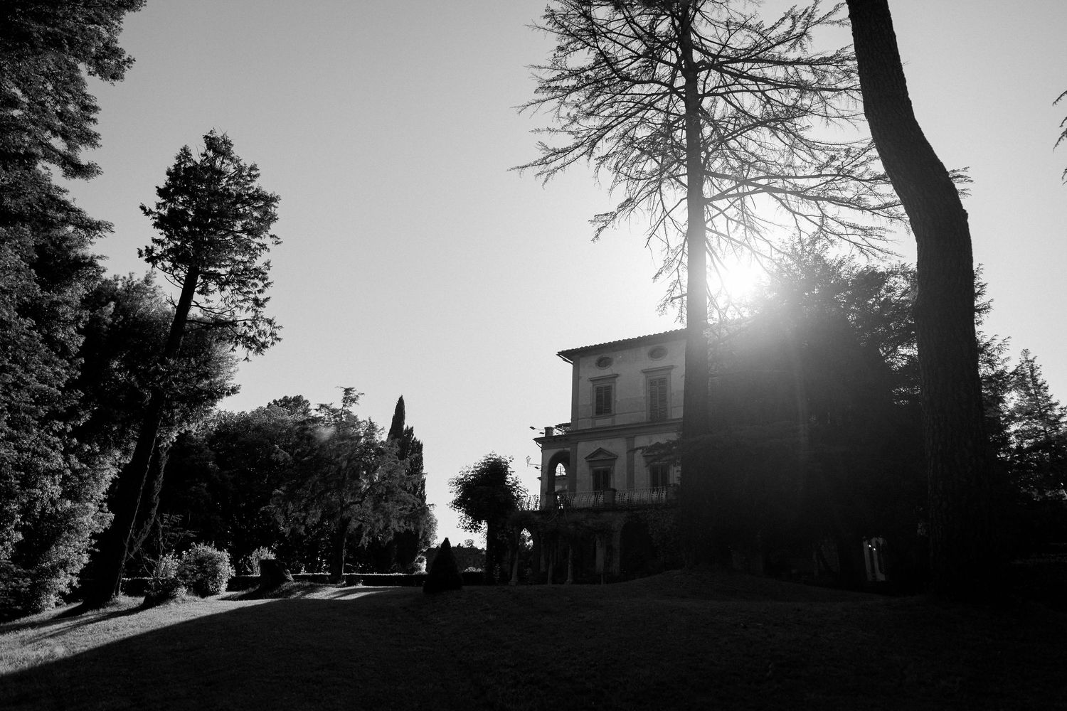 A series of black and white silhouettes showing trees and buildings against a dramatic backlit sky at sunset.