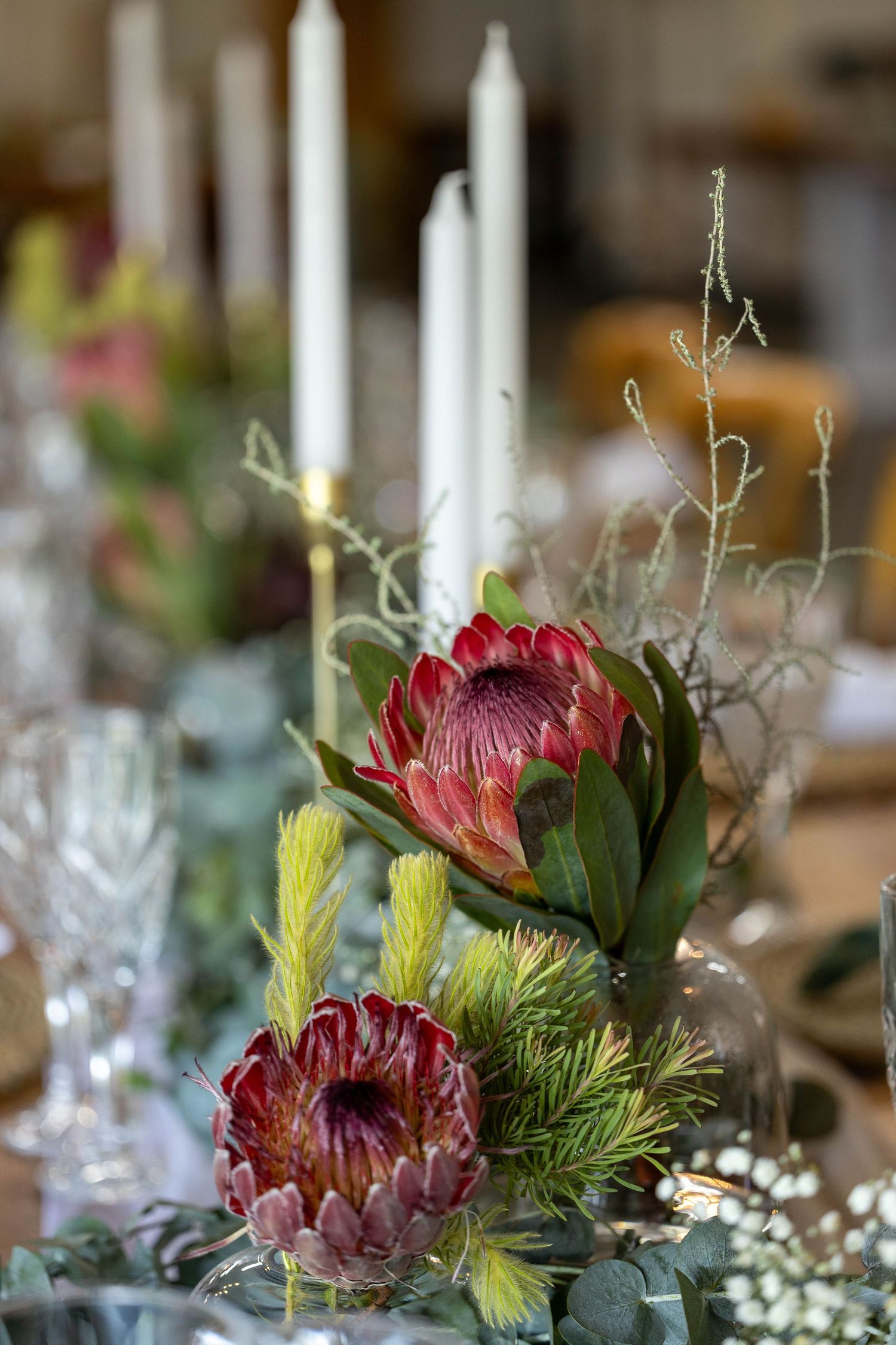 Close-up of stunning red protea flowers with white taper candles and eucalyptus in a wedding table centerpiece.