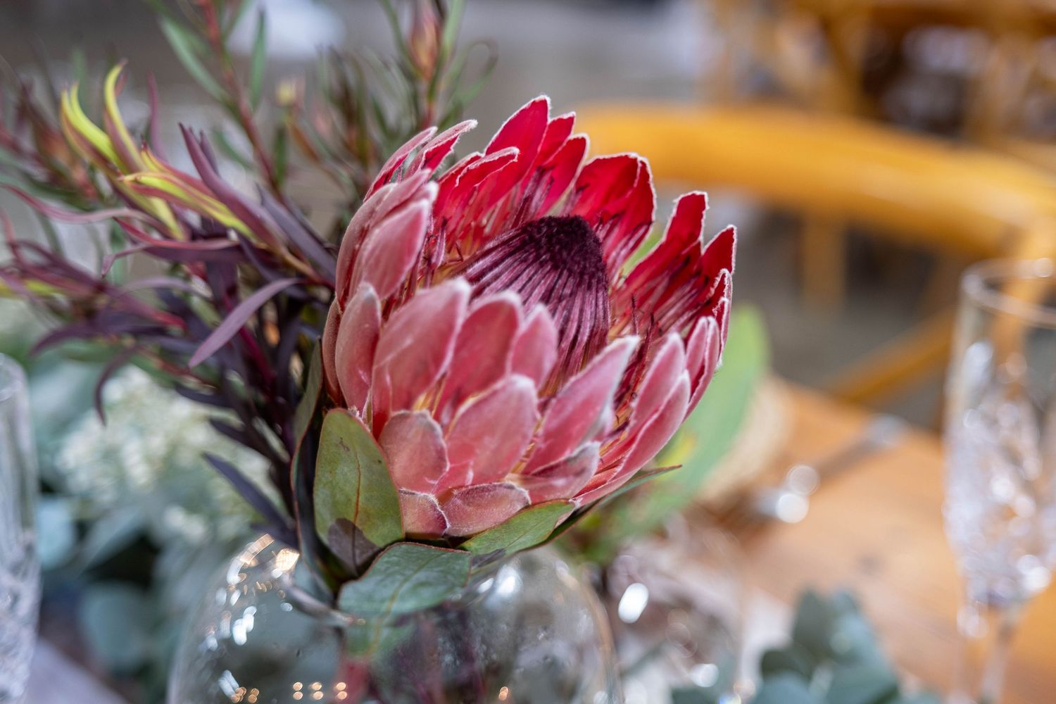 Close-up of a vibrant pink King Protea flower centerpiece on a wedding table.