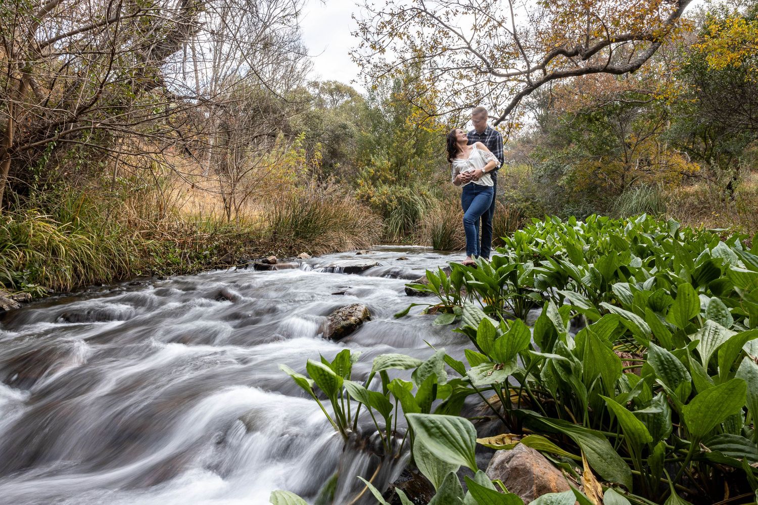 Engaged couple embracing on rocks beside a beautifully blurred flowing creek surrounded by lush greenery.