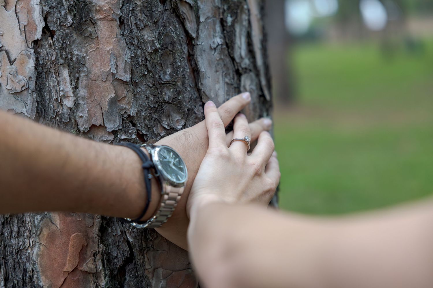Close-up of a couple holding hands against a tree trunk in a park.