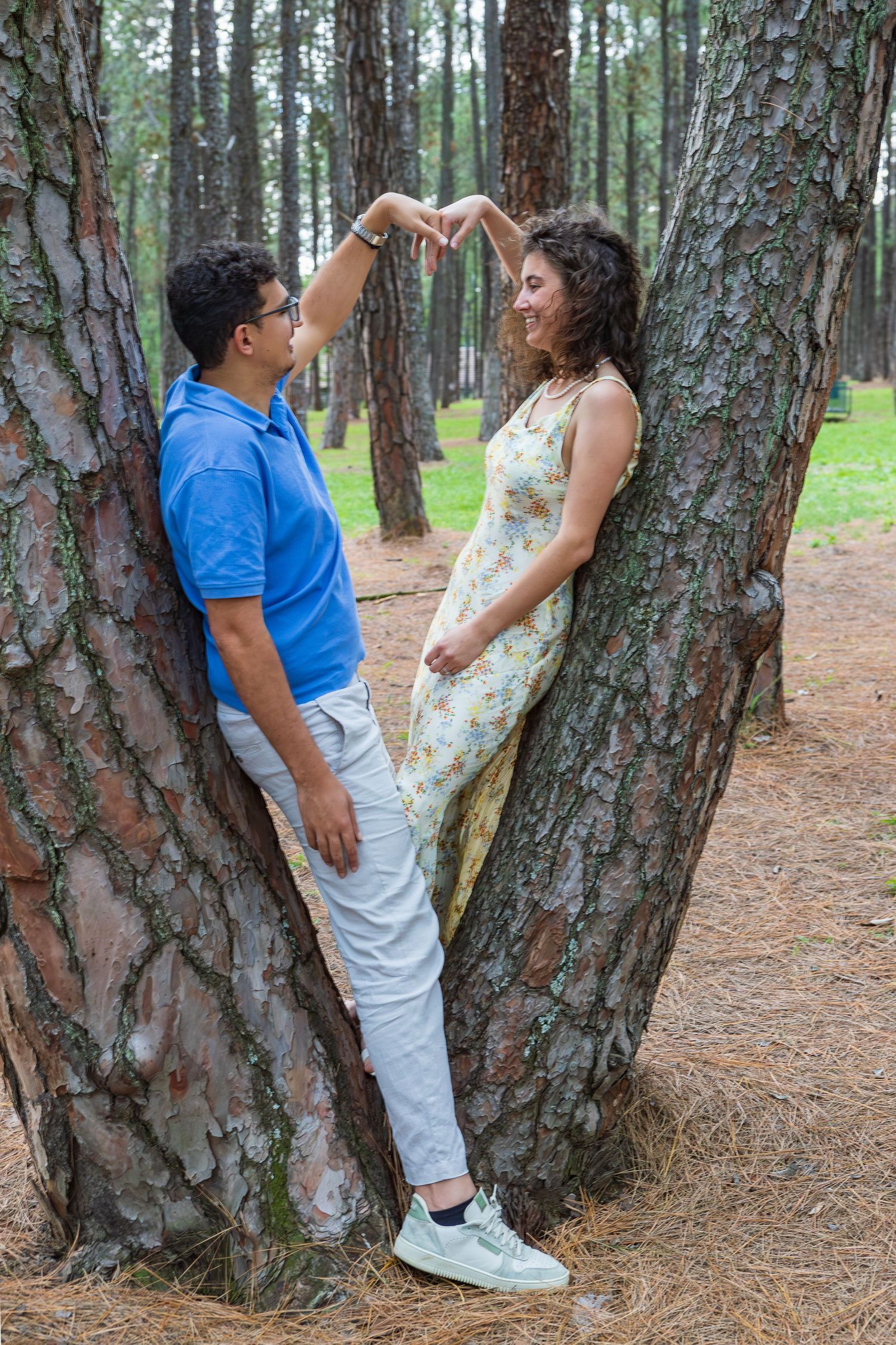 Romantic couple making a heart shape with their hands between two pine trees.