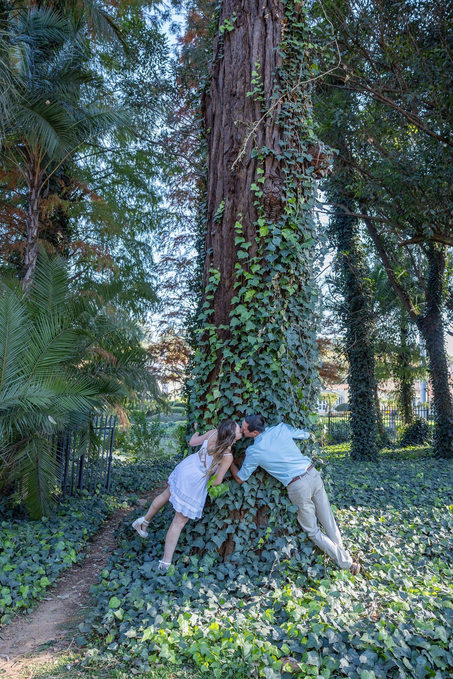 Couple sharing a kiss against a large ivy-covered tree trunk surrounded by tropical greenery.
