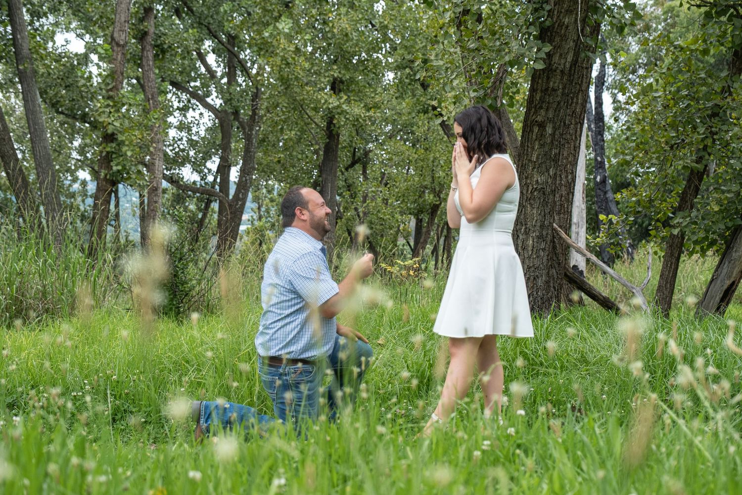 Man kneeling to propose to woman in white dress among wildflowers in a forest.