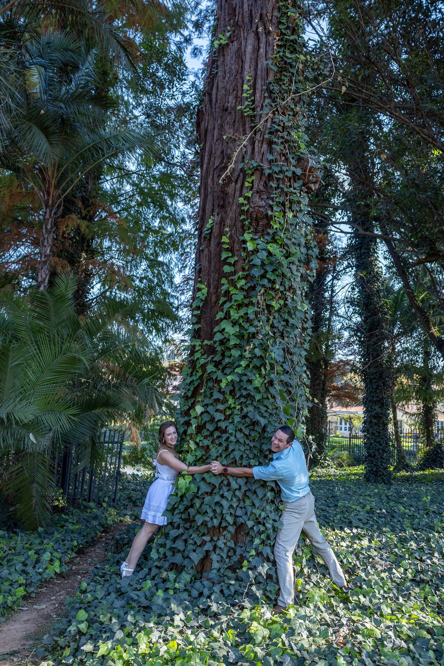 Couple playfully hugging a large ivy-covered tree trunk in a lush tropical garden setting.