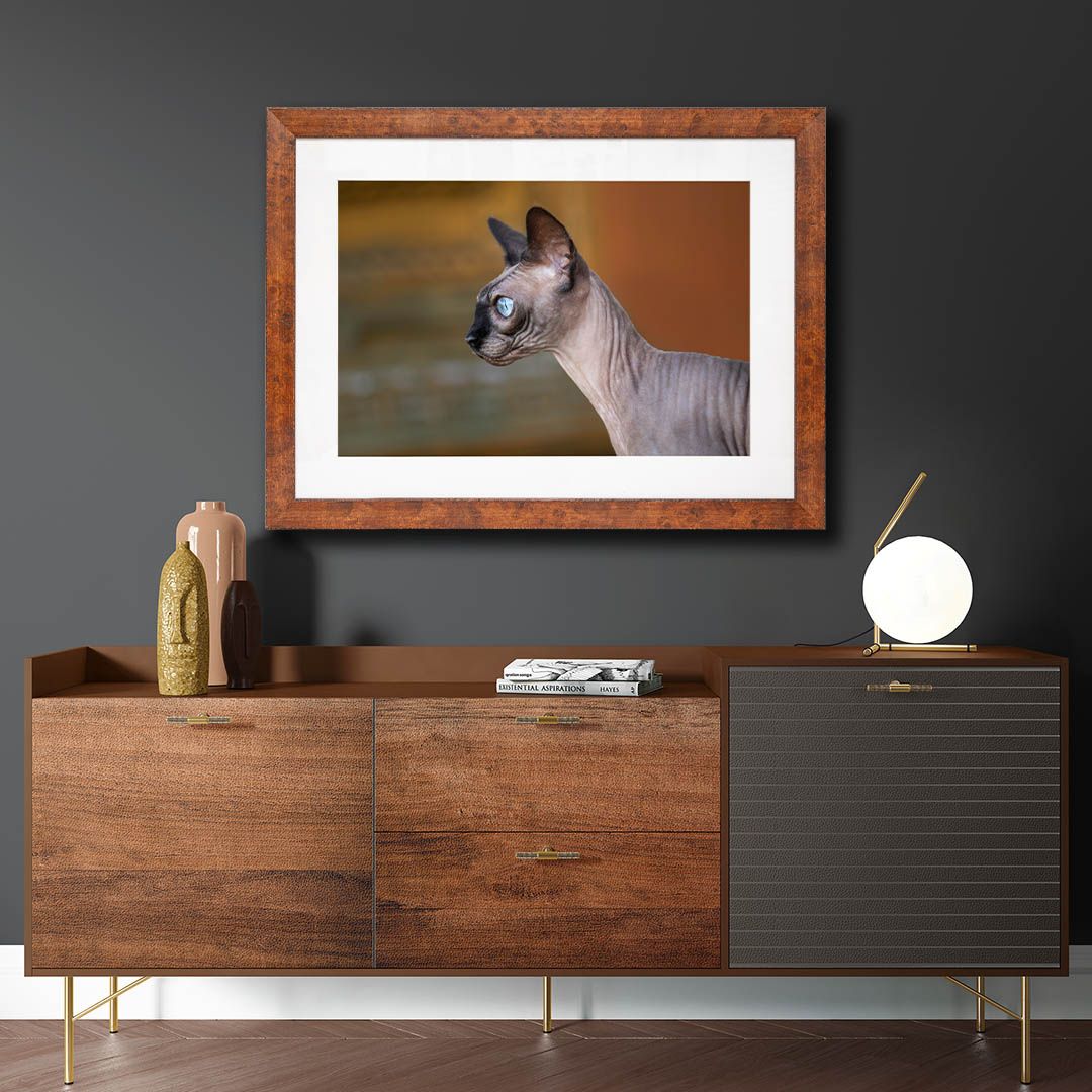 A framed portrait of a Sphynx cat displayed above a mid-century modern walnut credenza in a stylish living room.