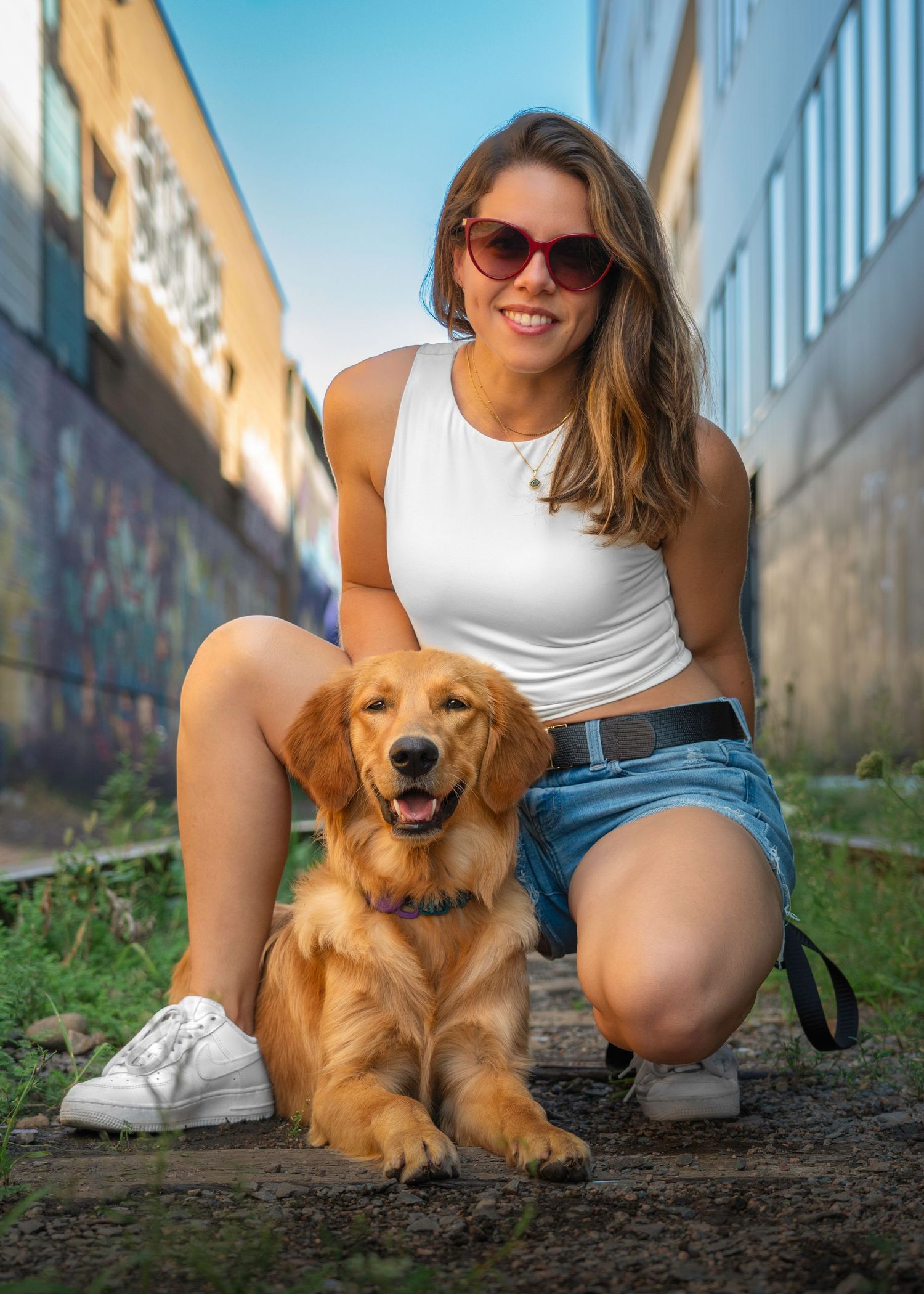 Golden retriever puppy sitting on path while enjoying sunny day in urban setting.