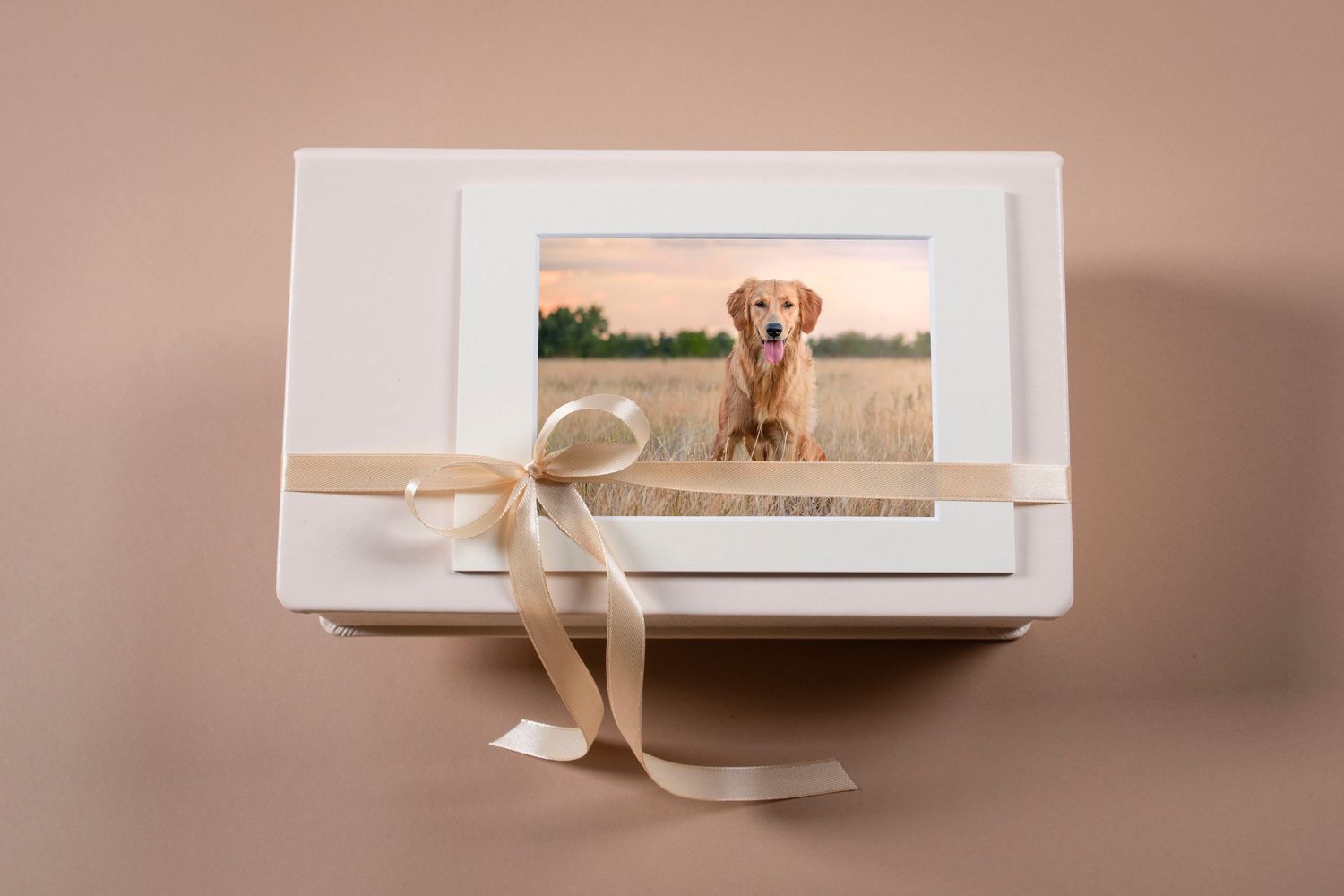 White keepsake box with a golden retriever photo on top, tied with a beige ribbon bow, on a neutral background.
