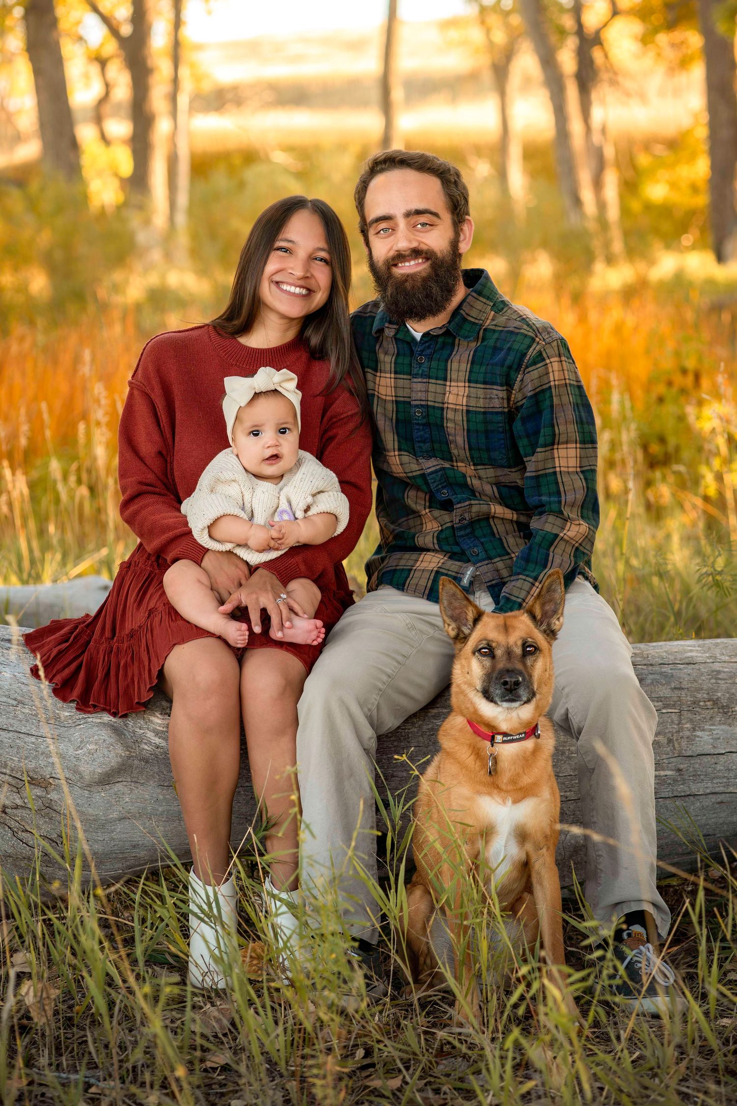 A smiling family with a baby and German Shepherd dog sitting on a log in an autumn outdoor setting.