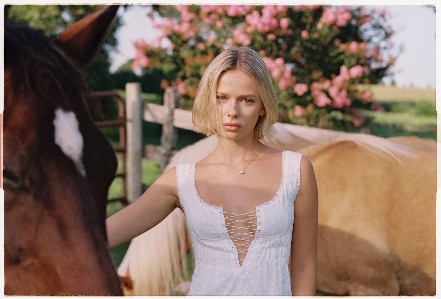 Woman with short blonde hair in a white lace-up dress standing between two horses near a blooming pink tree and wooden fence.