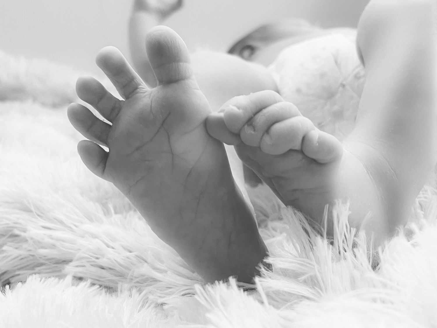 Lifestyle, candid photography of families, weddings, engagements, kids, couples, seniors, graduations, newborns, business branding, nature