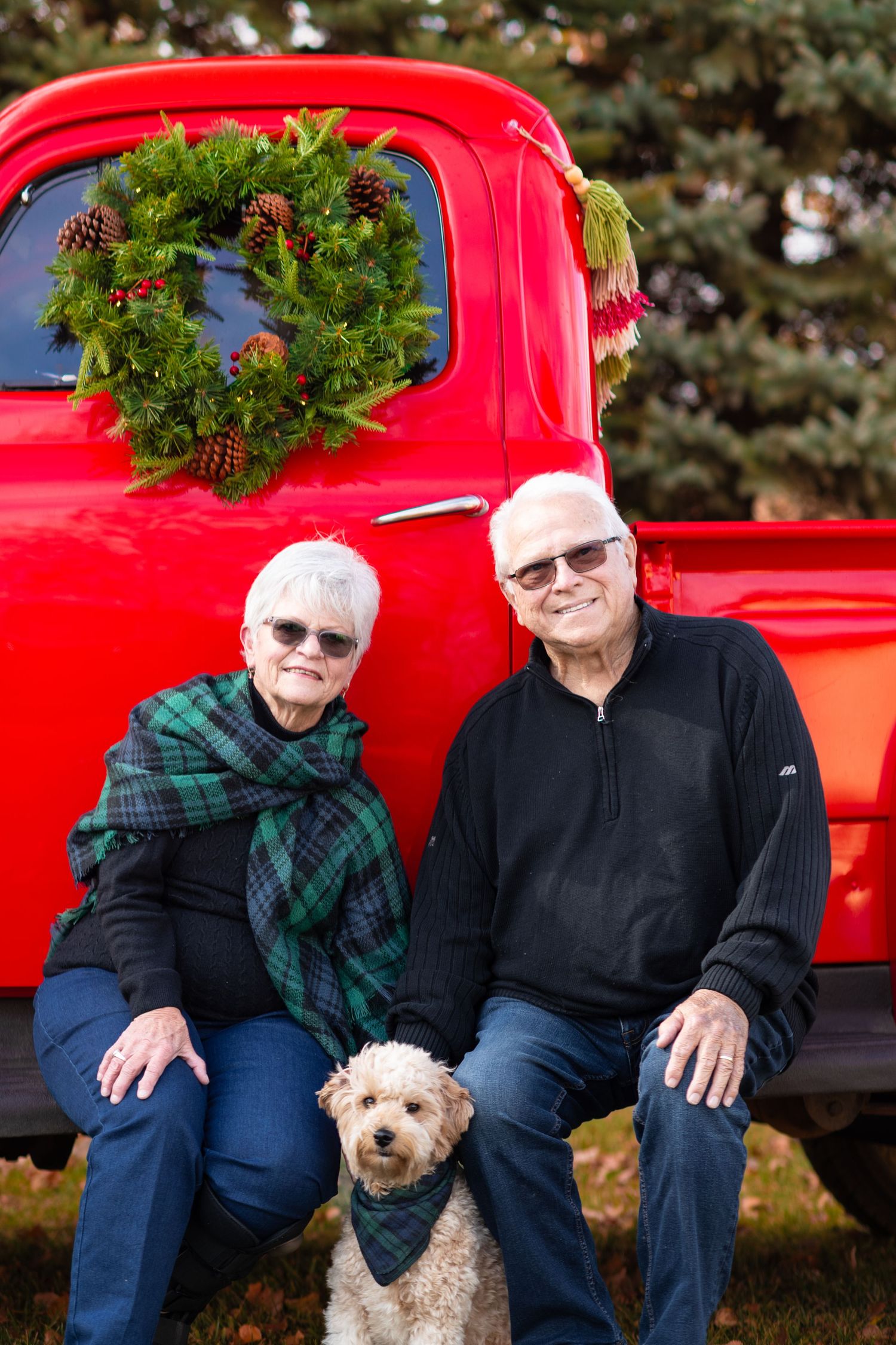 A red vintage pickup truck decorated with a Christmas wreath provides a festive holiday backdrop with a dog.