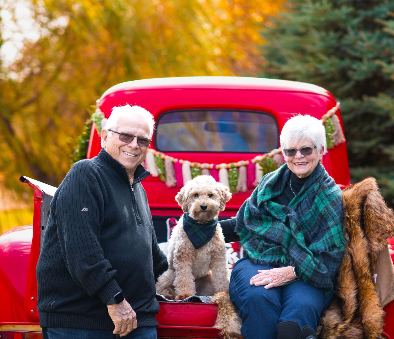 A fluffy dog in a bandana sits between two people in a red vintage pickup truck tailgate on an autumn day.
