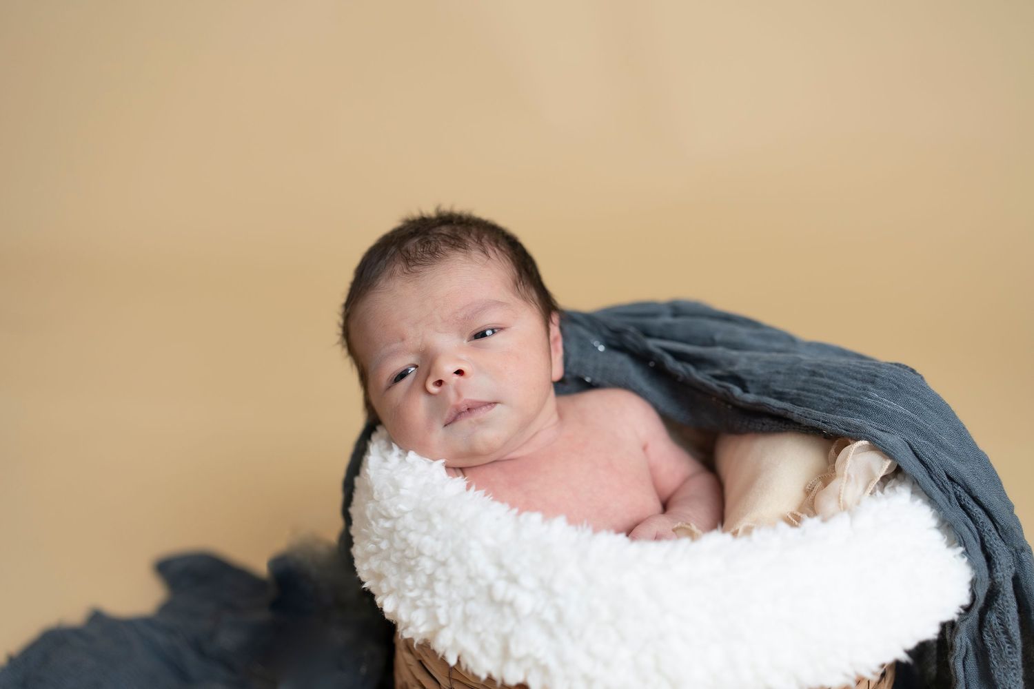 Alert newborn laying in cozy wicker basket with blue fabric and white padding.