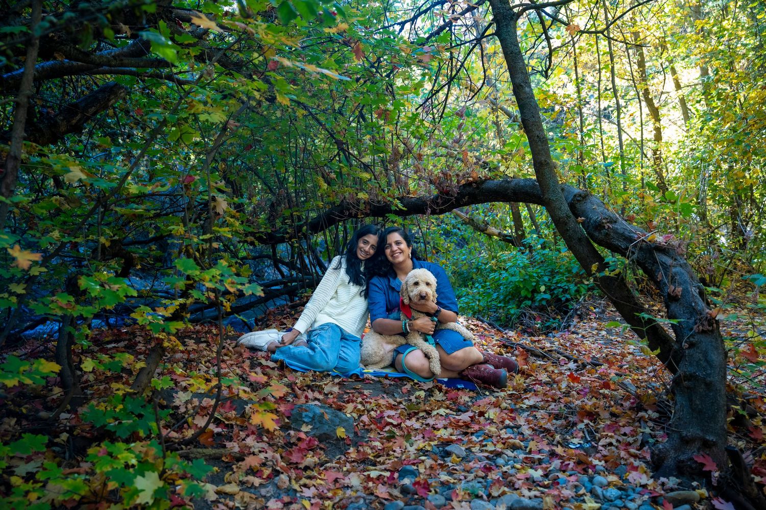 Family enjoying picnic under curved tree branch with autumn leaves.