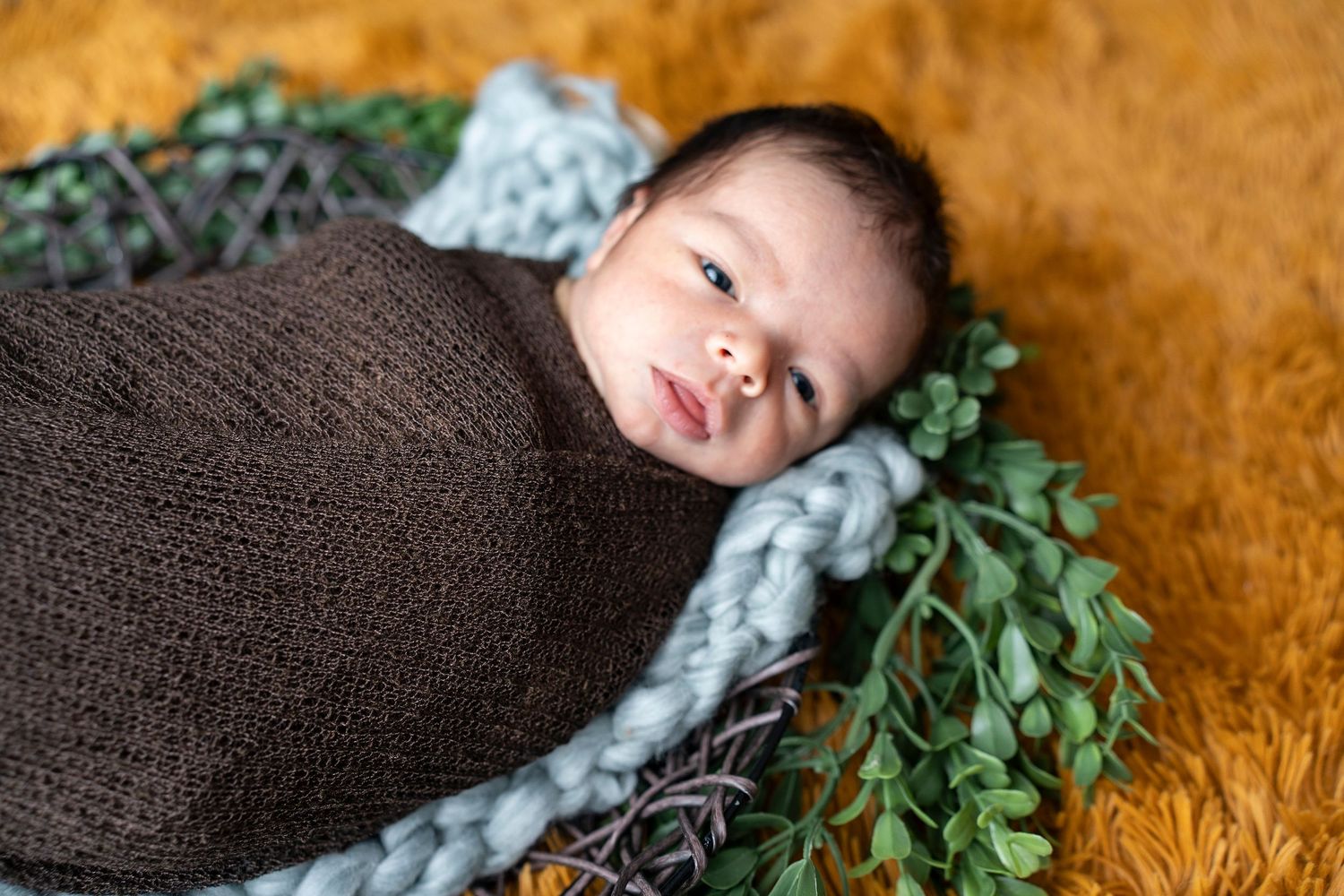 Peaceful newborn swaddled in brown blanket against orange backdrop with greenery.