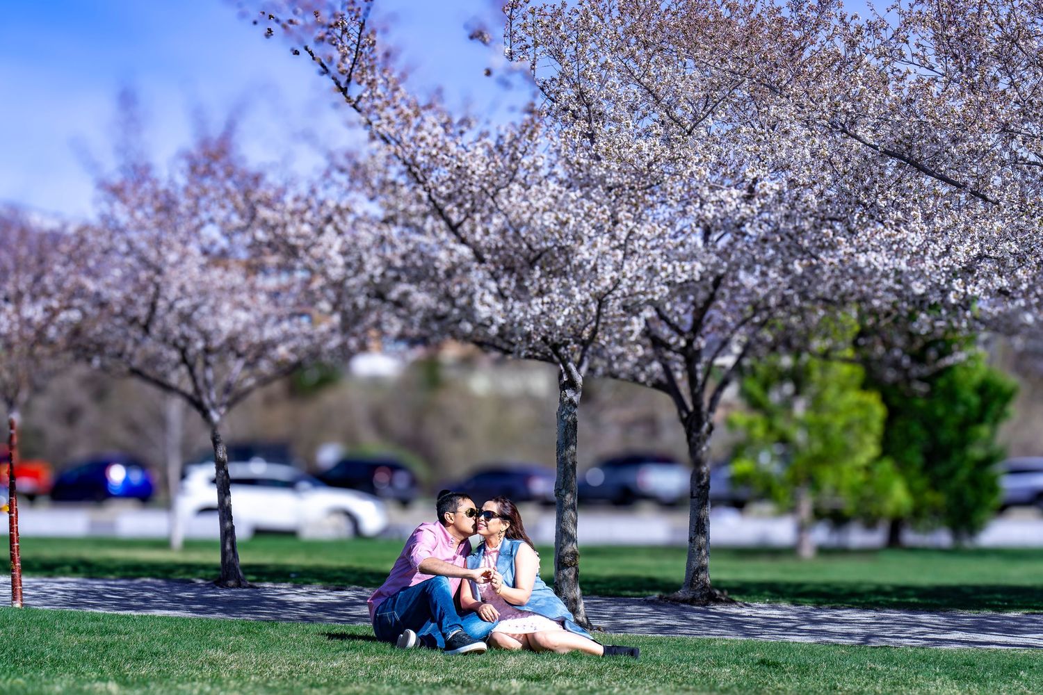 Couple relaxing under blooming cherry blossom trees in a spring park.