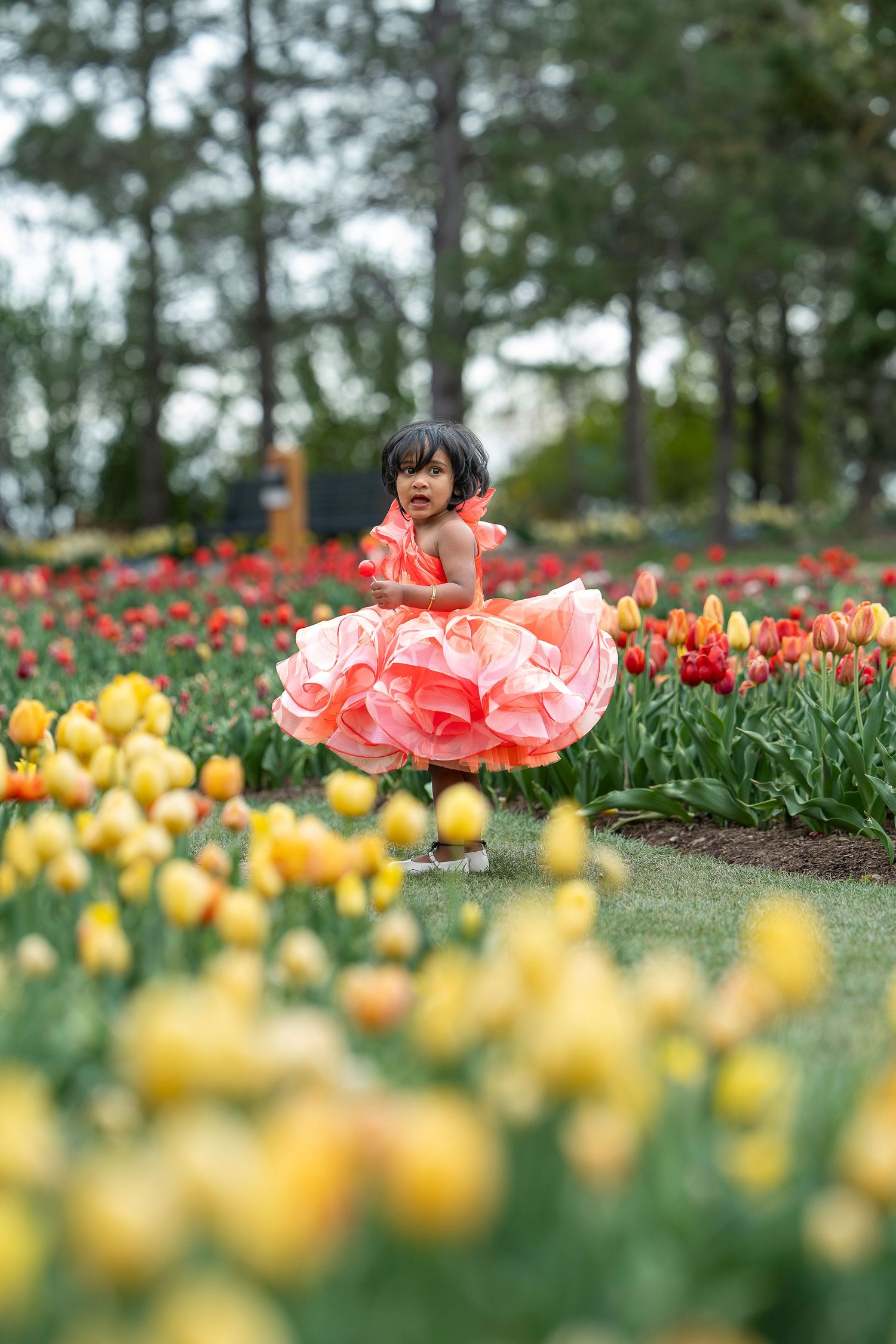 A small child in a pink dress twirls among yellow and red tulips in a garden.