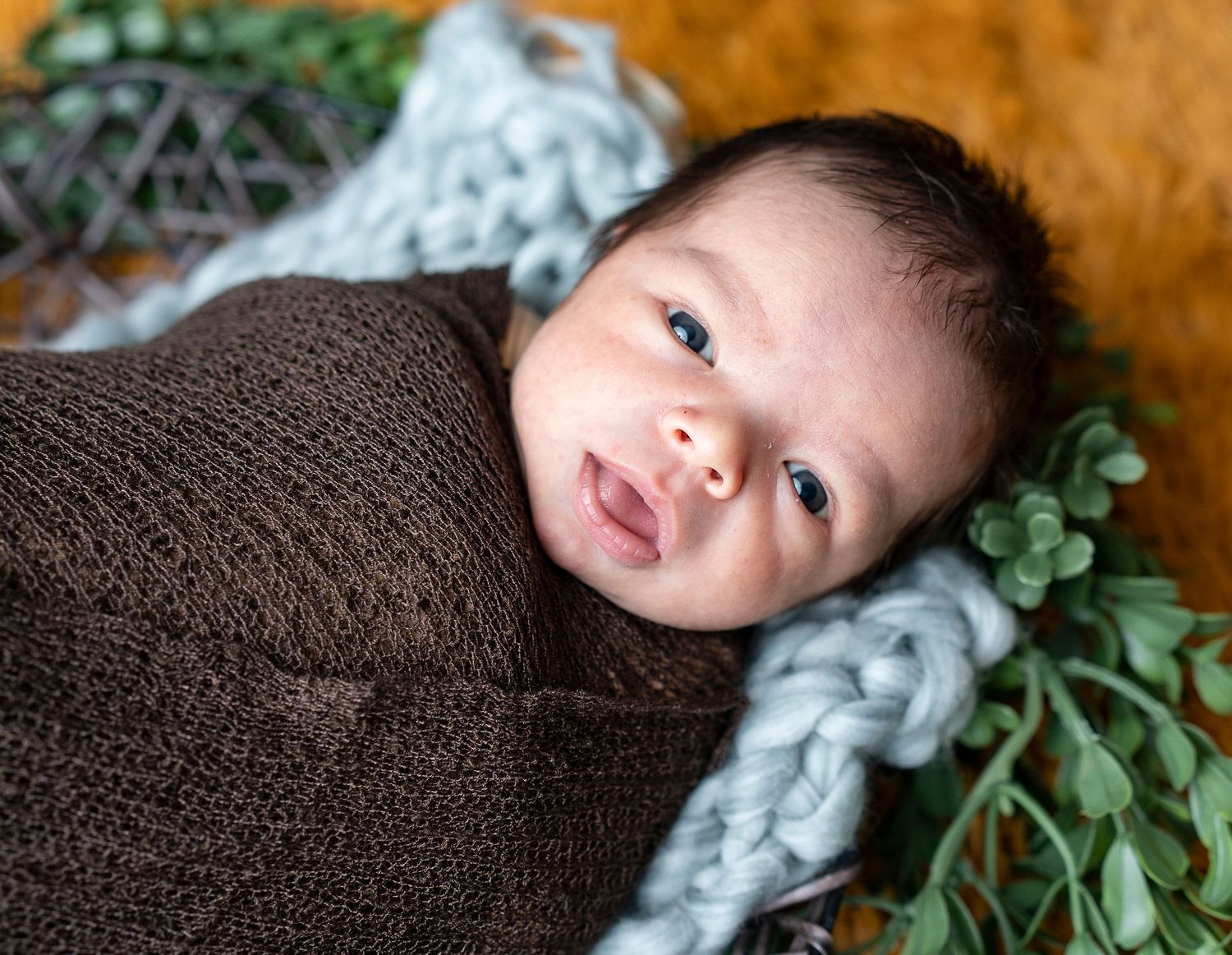 Sweet newborn portrait with brown swaddle against orange background and green foliage.