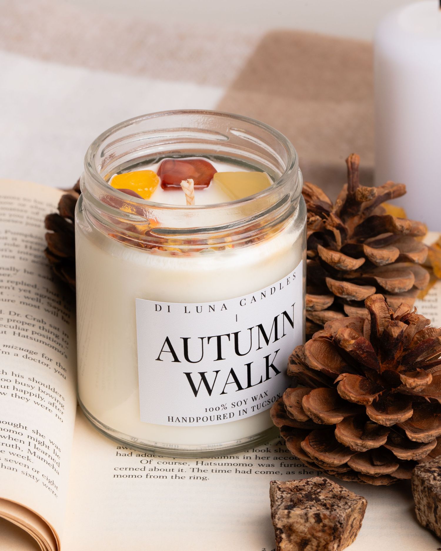 Di Luna Autumn Walk soy candle in glass jar with dried orange peel beside pine cones on book.