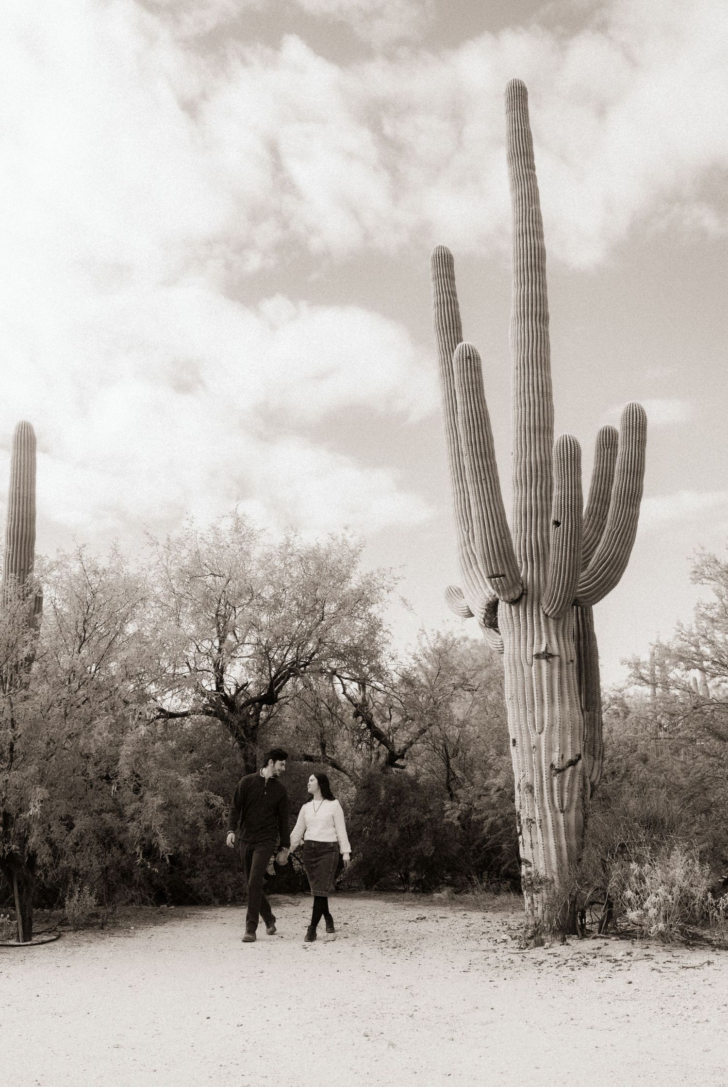 Sepia-toned photo of a couple walking near a towering saguaro cactus in the desert.