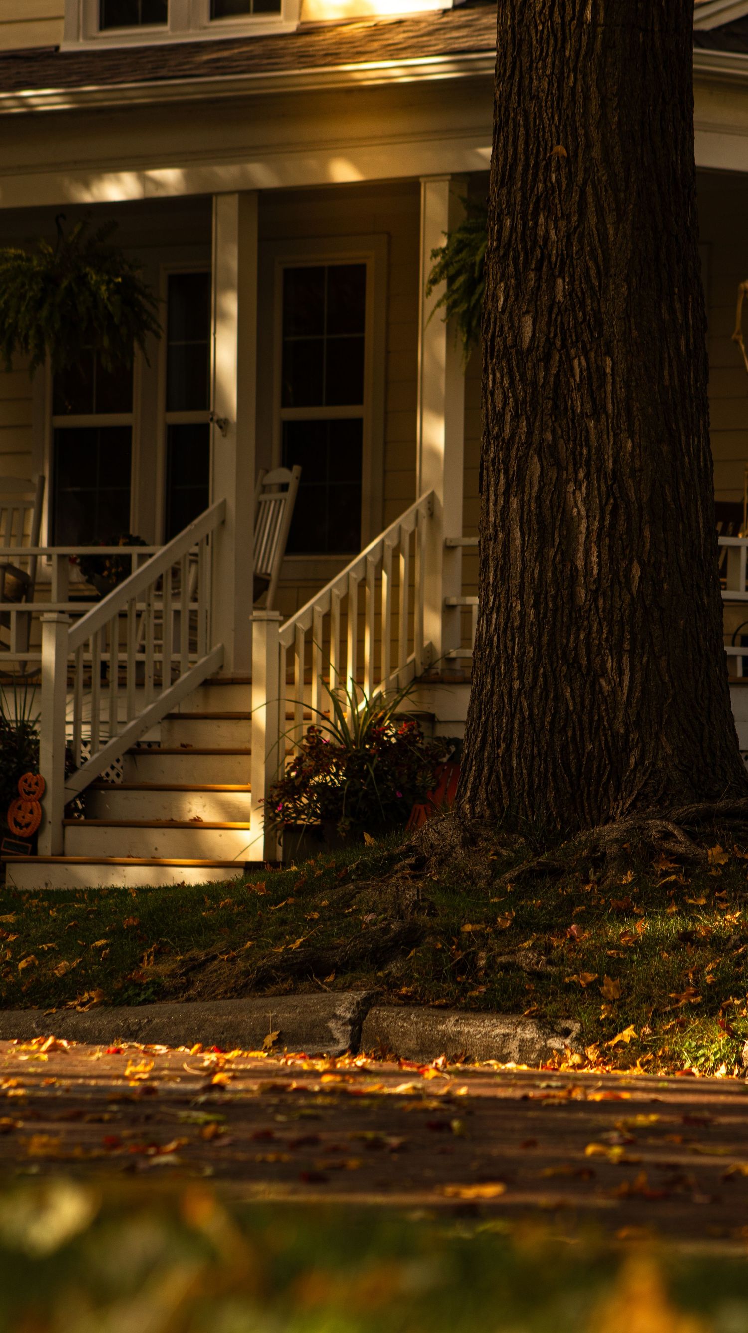 White porch steps with railing cast in golden evening light with autumn leaves.