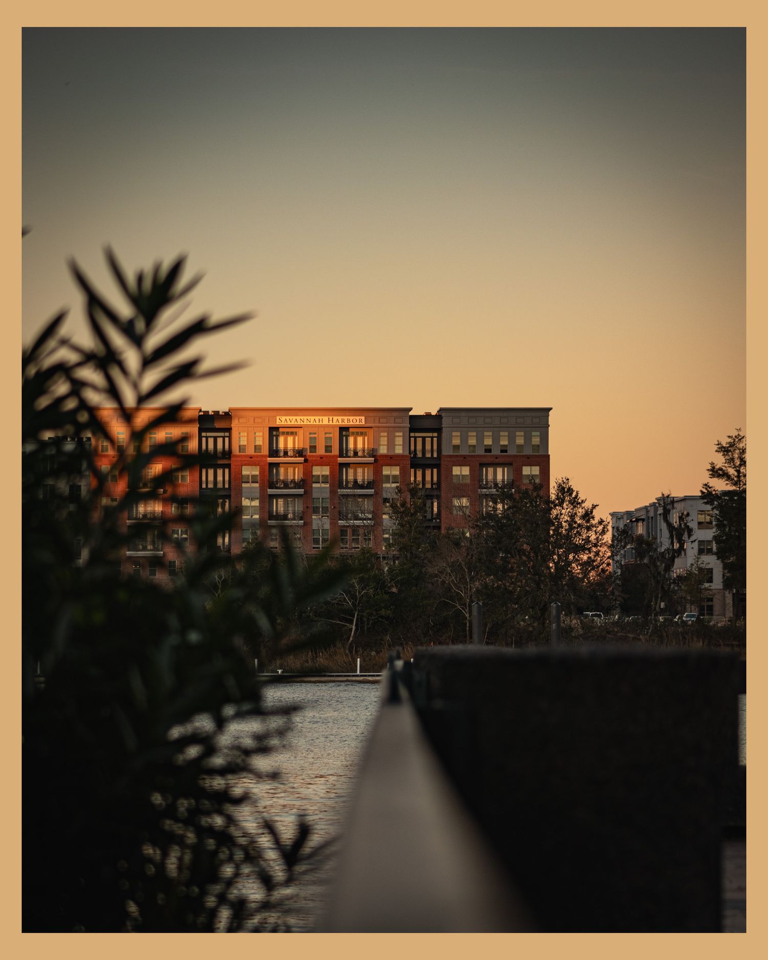 Modern apartment building silhouetted against a dusky sky with palm fronds in foreground.
