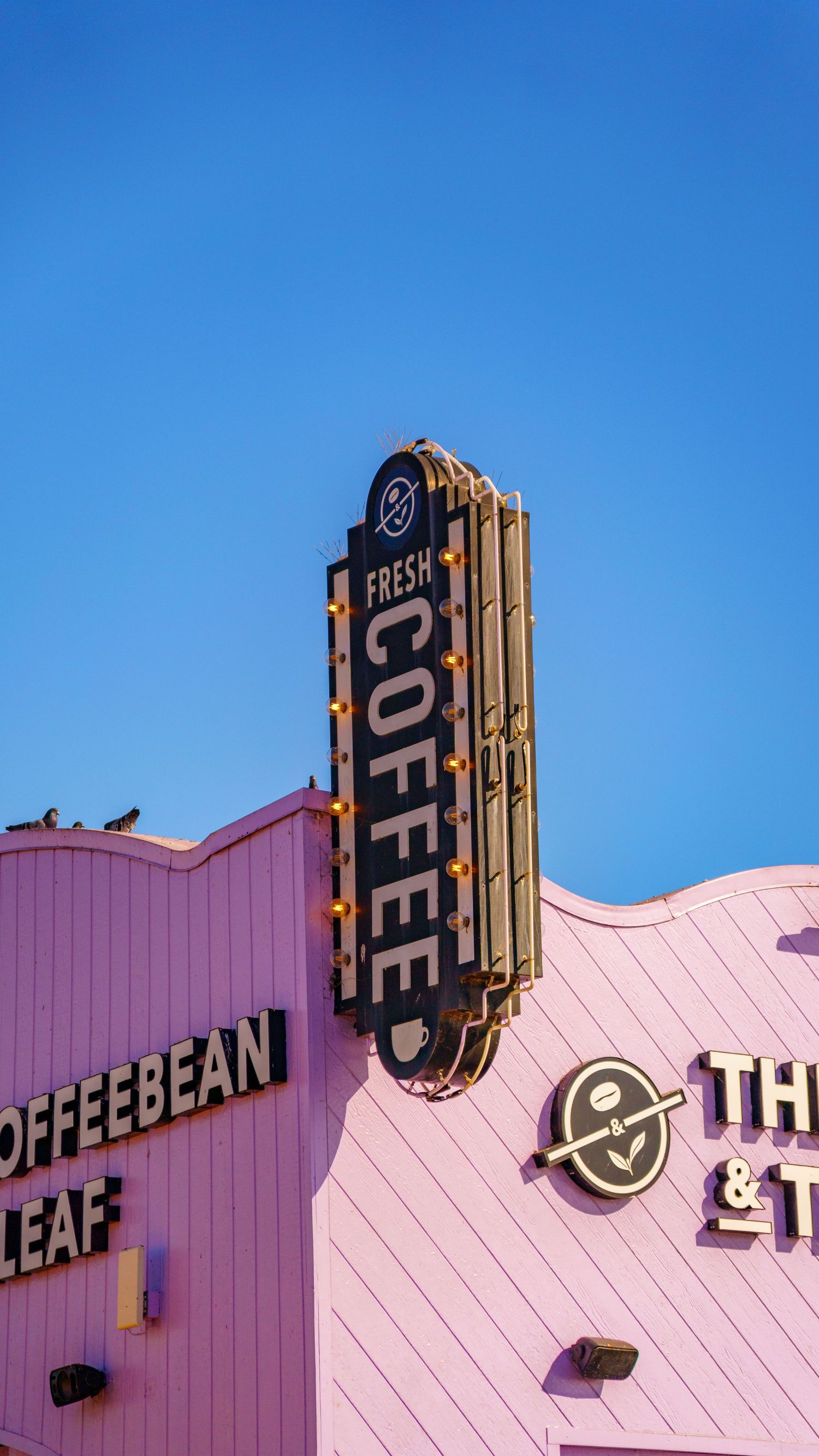 Retro-style vertical coffee shop sign on pink building facade against blue sky.