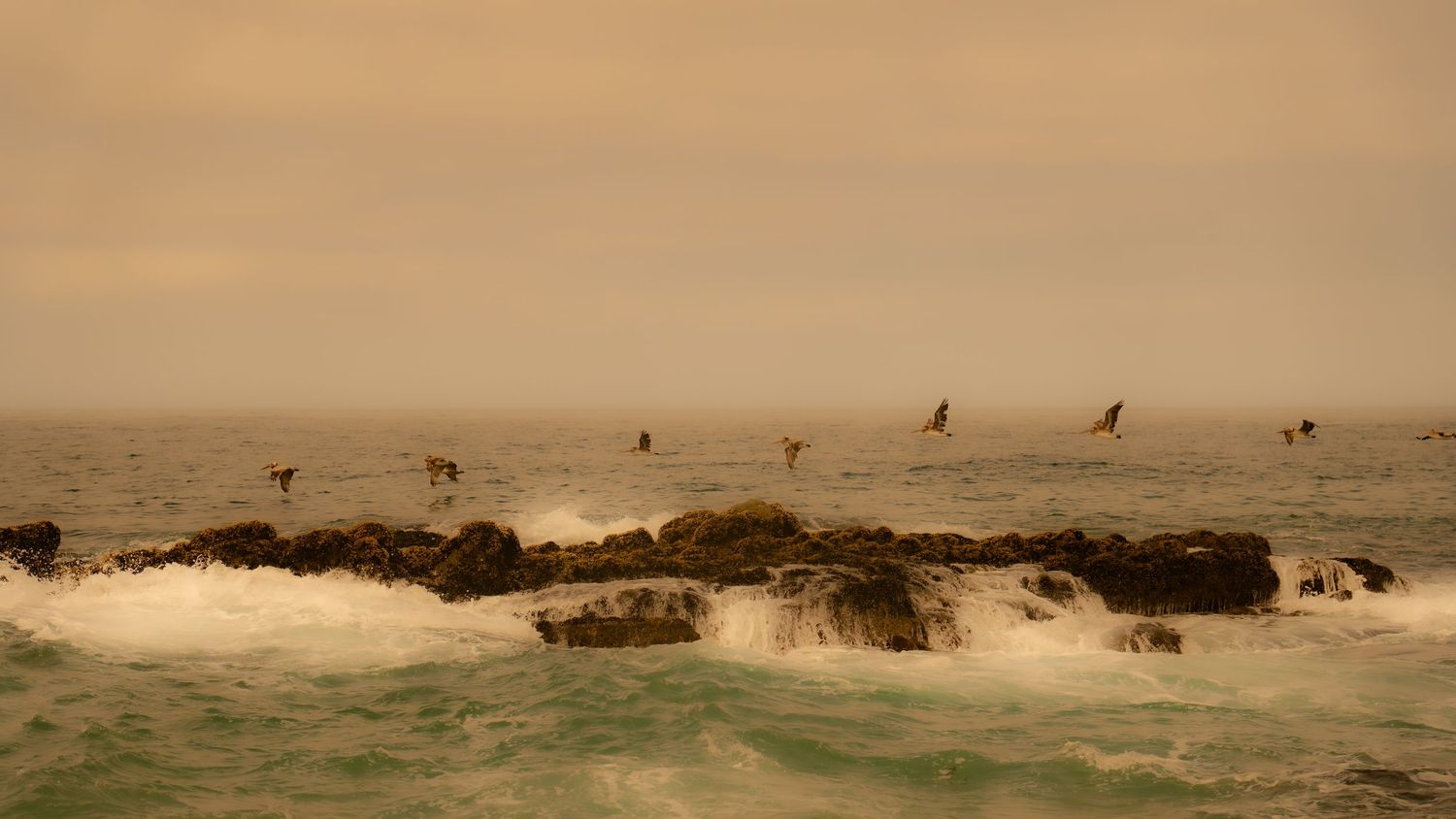 Birds perched on rocky coastline at sunset with waves crashing.