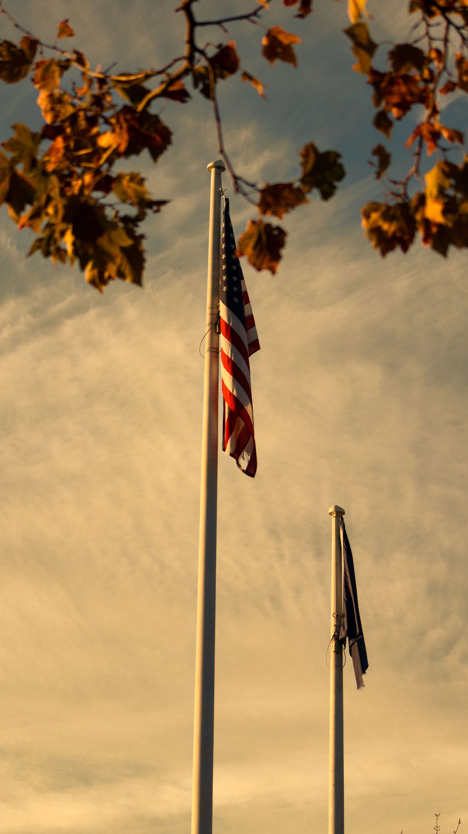 American flag on tall pole with autumn leaves framing golden sunset sky.