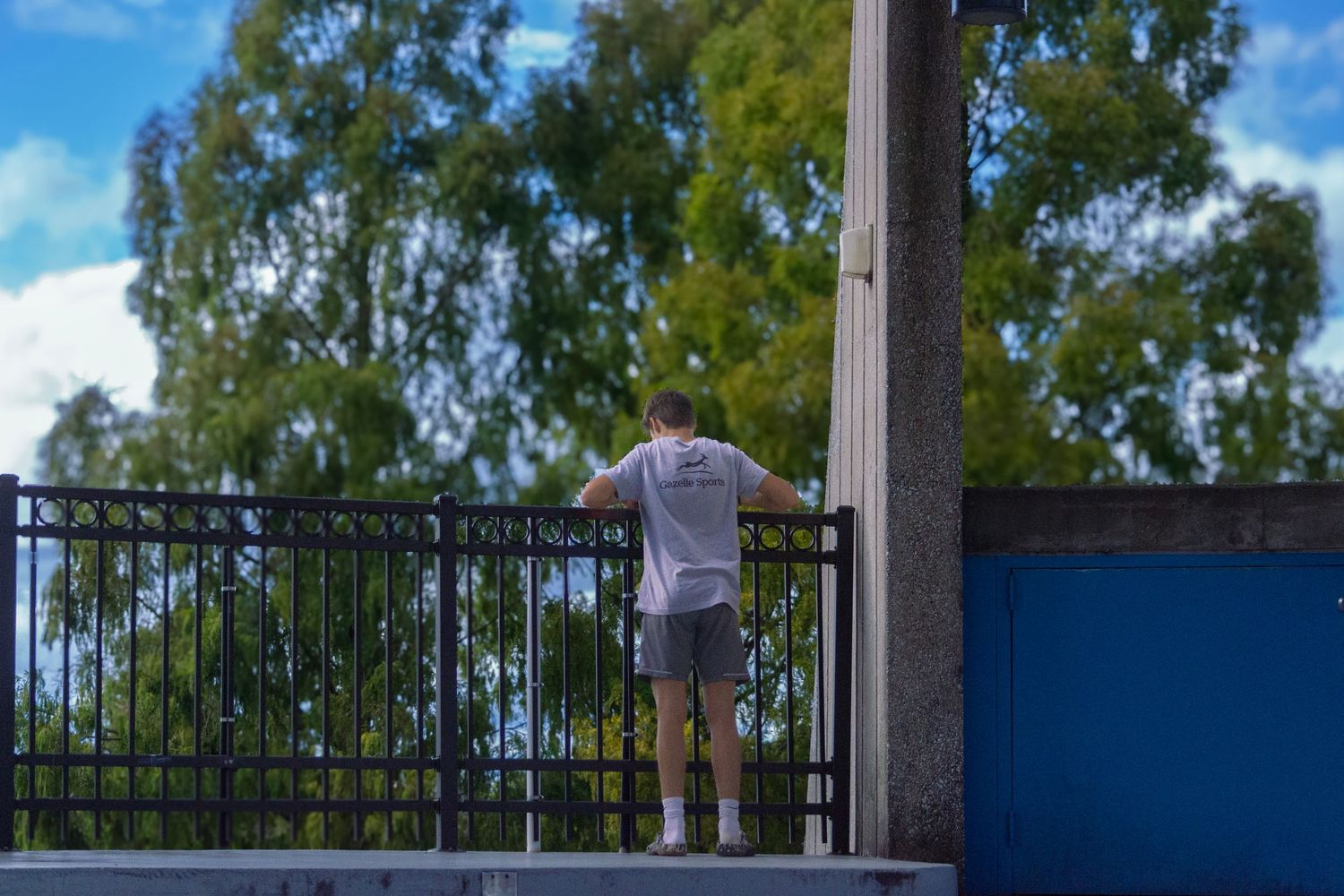 Person in grey shirt looking over metal railing with trees in background.