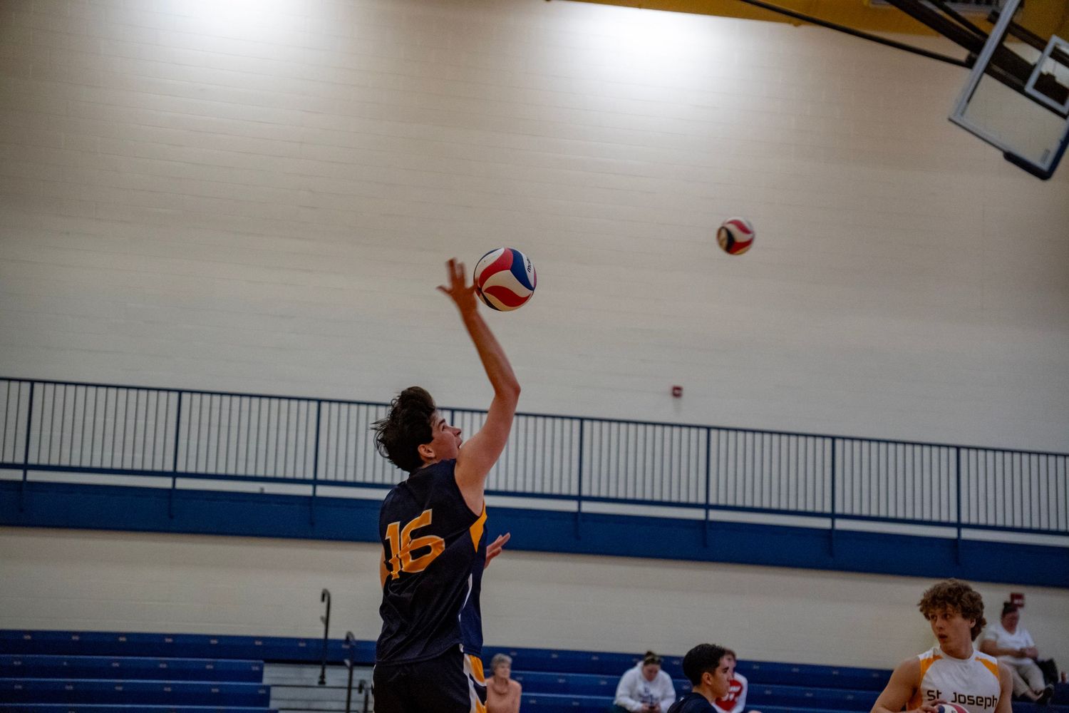 Player stretches upward to set the volleyball during an indoor match.