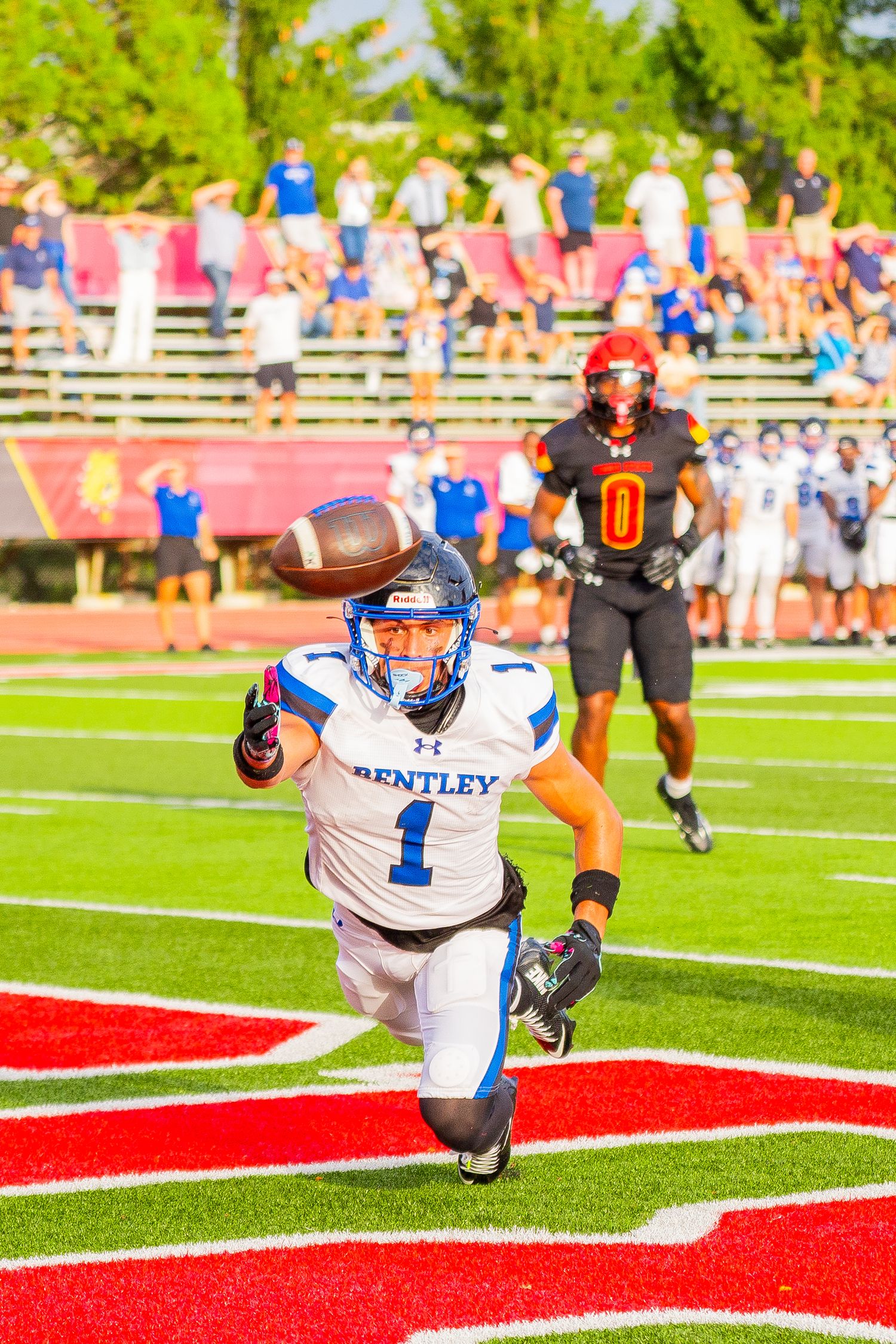 Bentley football receiver number 1 dives toward the end zone to catch a pass as a defender in black and red watches from behind.
