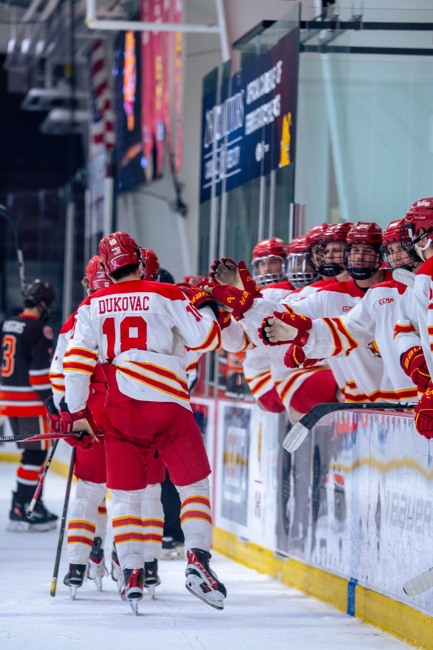 Hockey players in red and white jerseys celebrate by leaning against the boards during a game celebration.