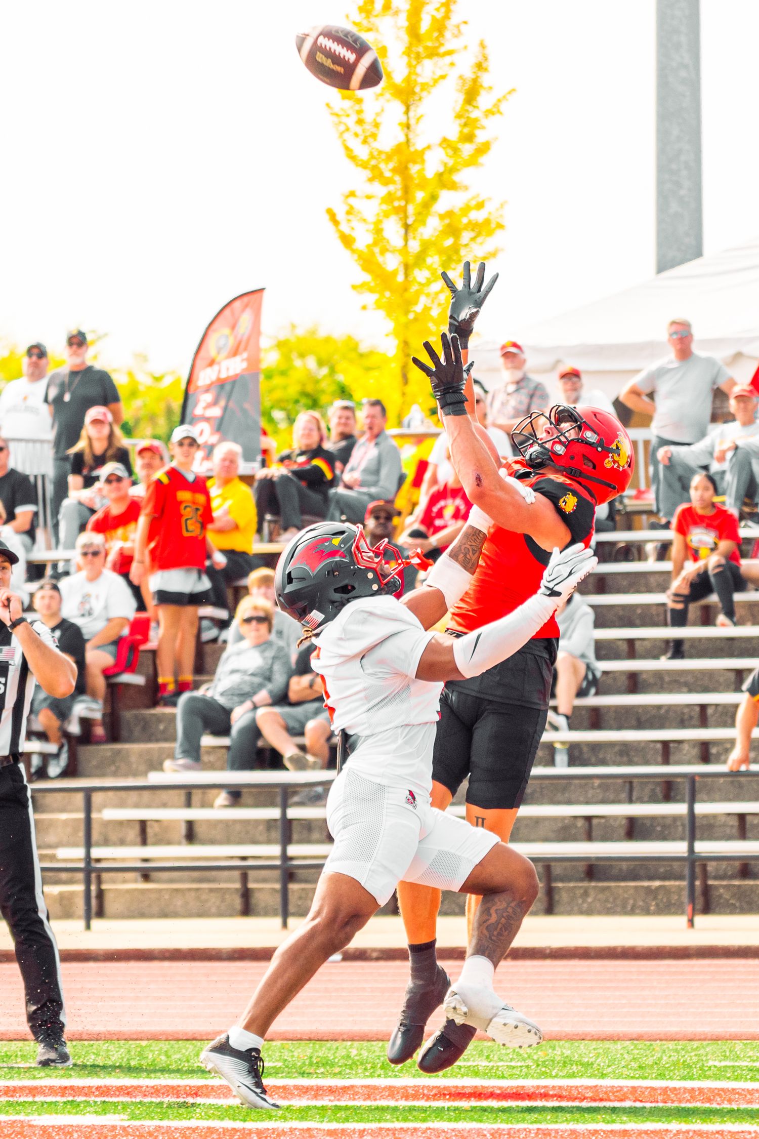 Two football players leap for a high pass near the end zone as spectators watch from the bleachers on a sunny autumn game day.