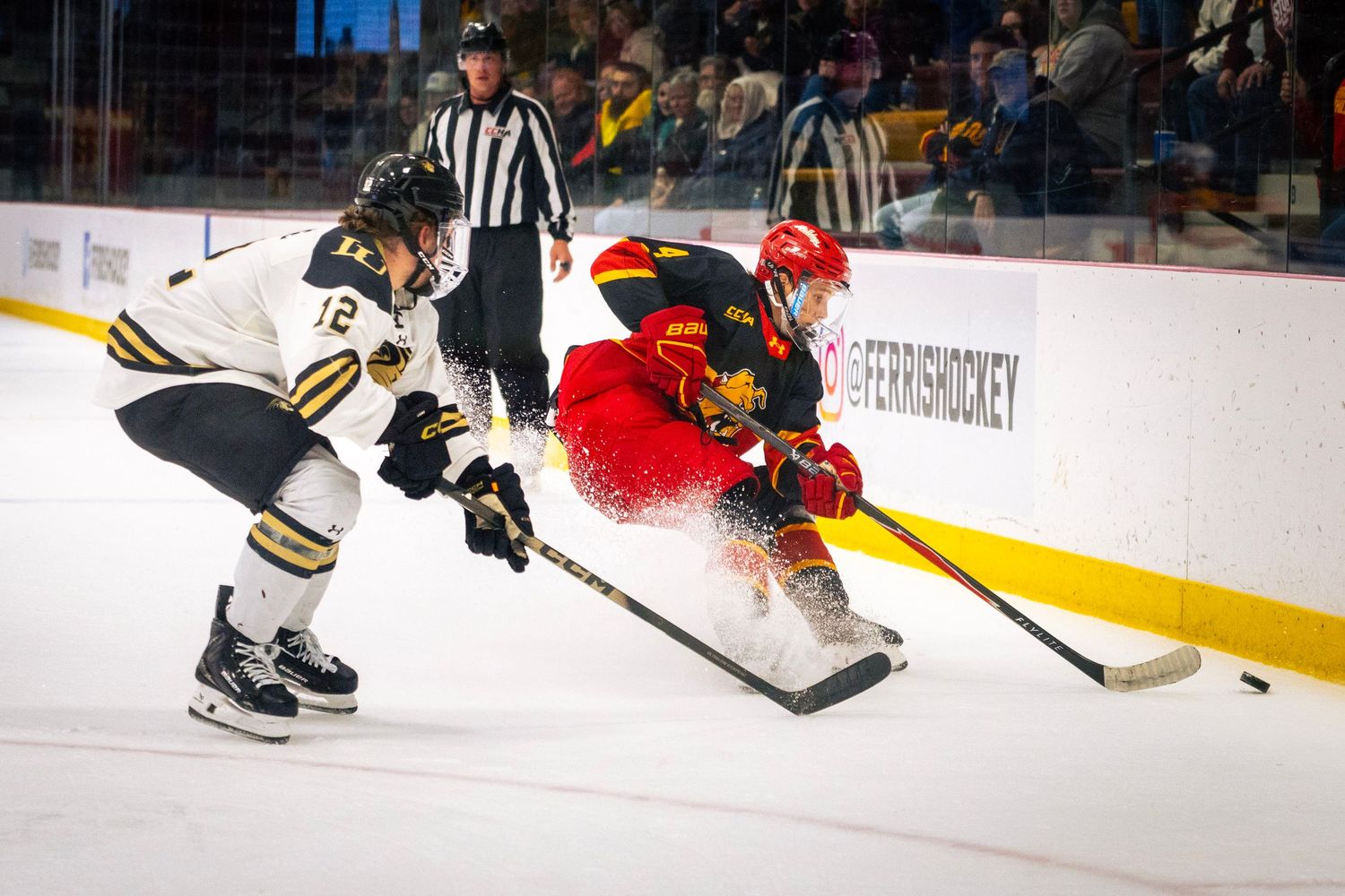 Two college hockey players in white and red-and-black jerseys battle for the puck along the boards during a fast-paced ice hockey game.