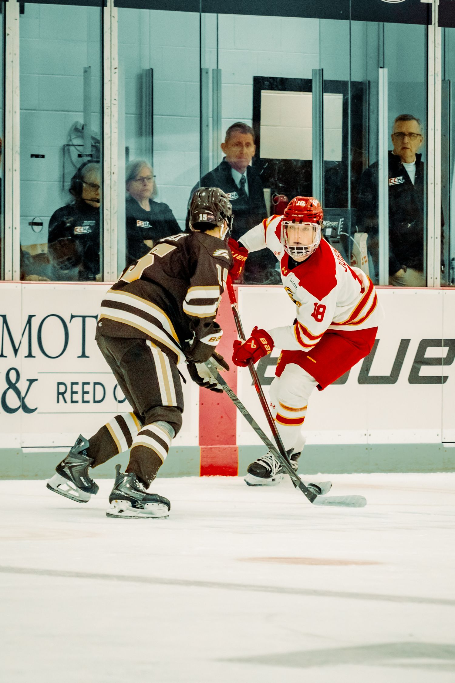 Two college hockey players in brown and red-and-white jerseys battle for position on the ice while spectators watch from behind the glass.