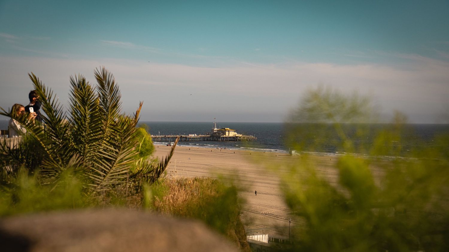 Panoramic view of a coastal beach with palm trees and distant ocean waves.