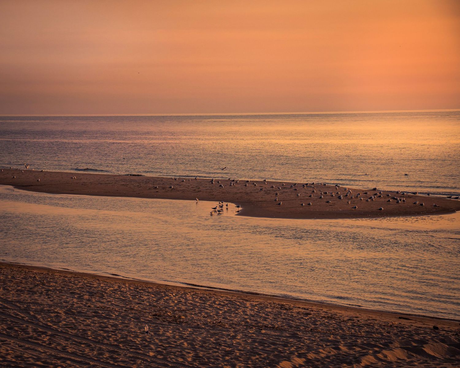 Sandy beach and rippling waters bathed in warm sunset light creating a peaceful coastal scene.