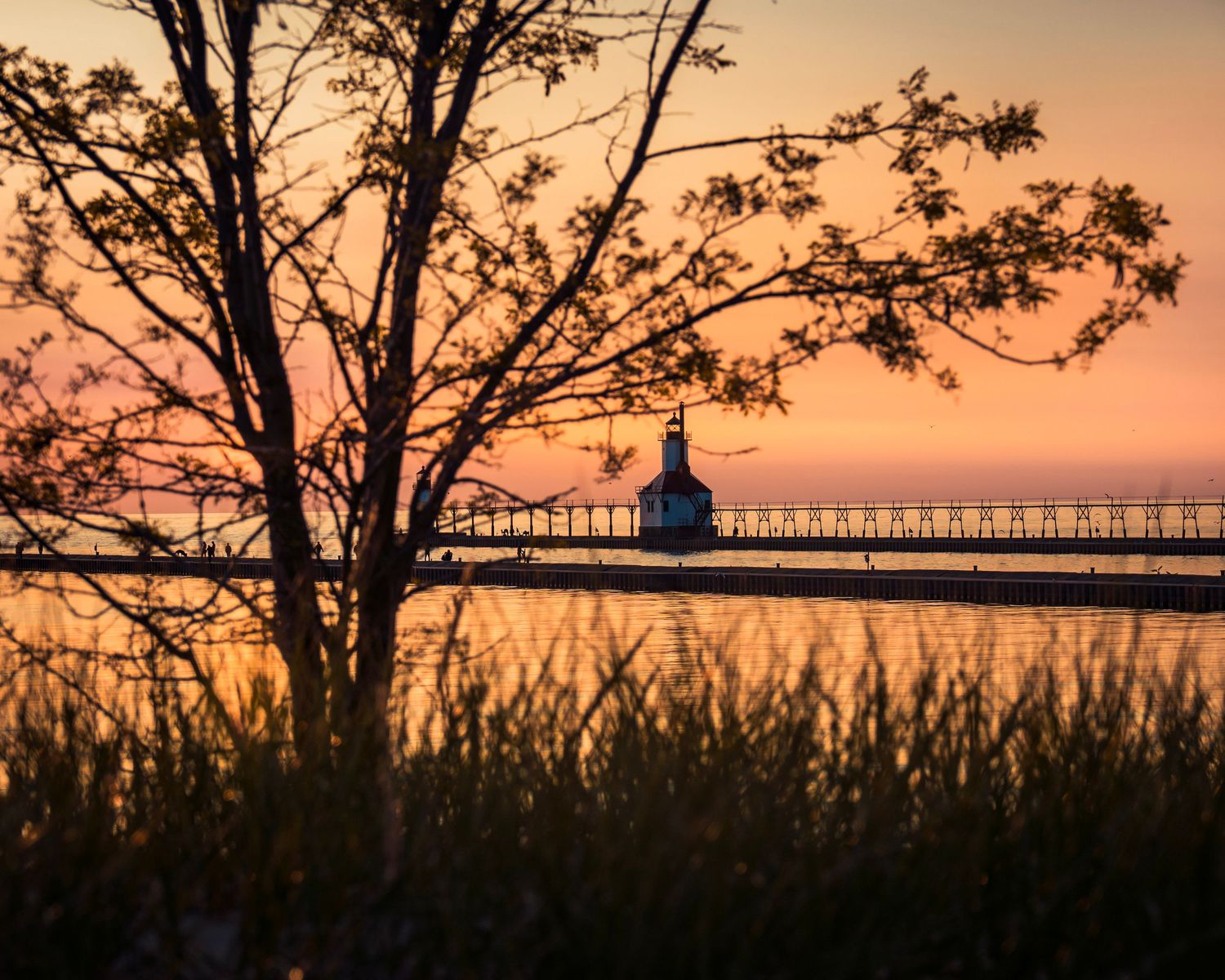 Tree branches frame a lighthouse and pier silhouetted against an orange sunset sky.