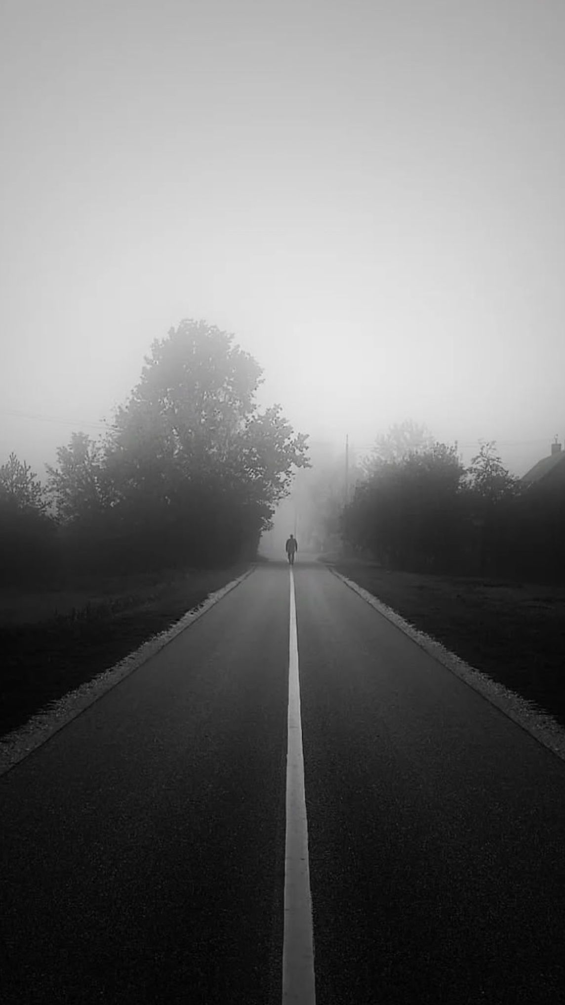Empty road stretching into fog with white line markings and silhouetted trees.