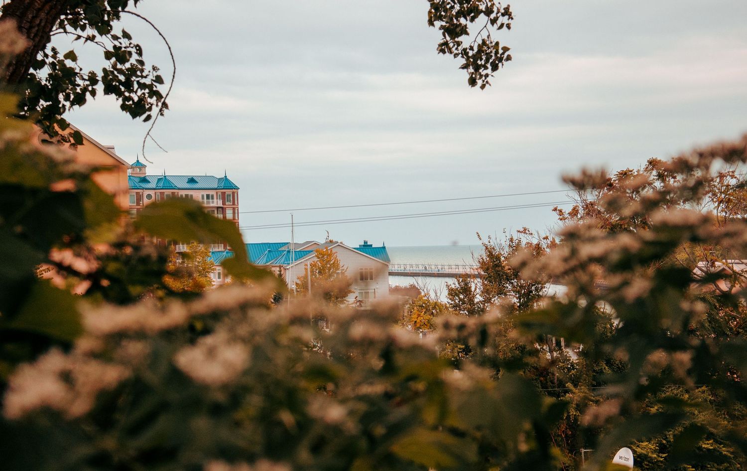 View of buildings through autumn foliage with overcast sky in background.