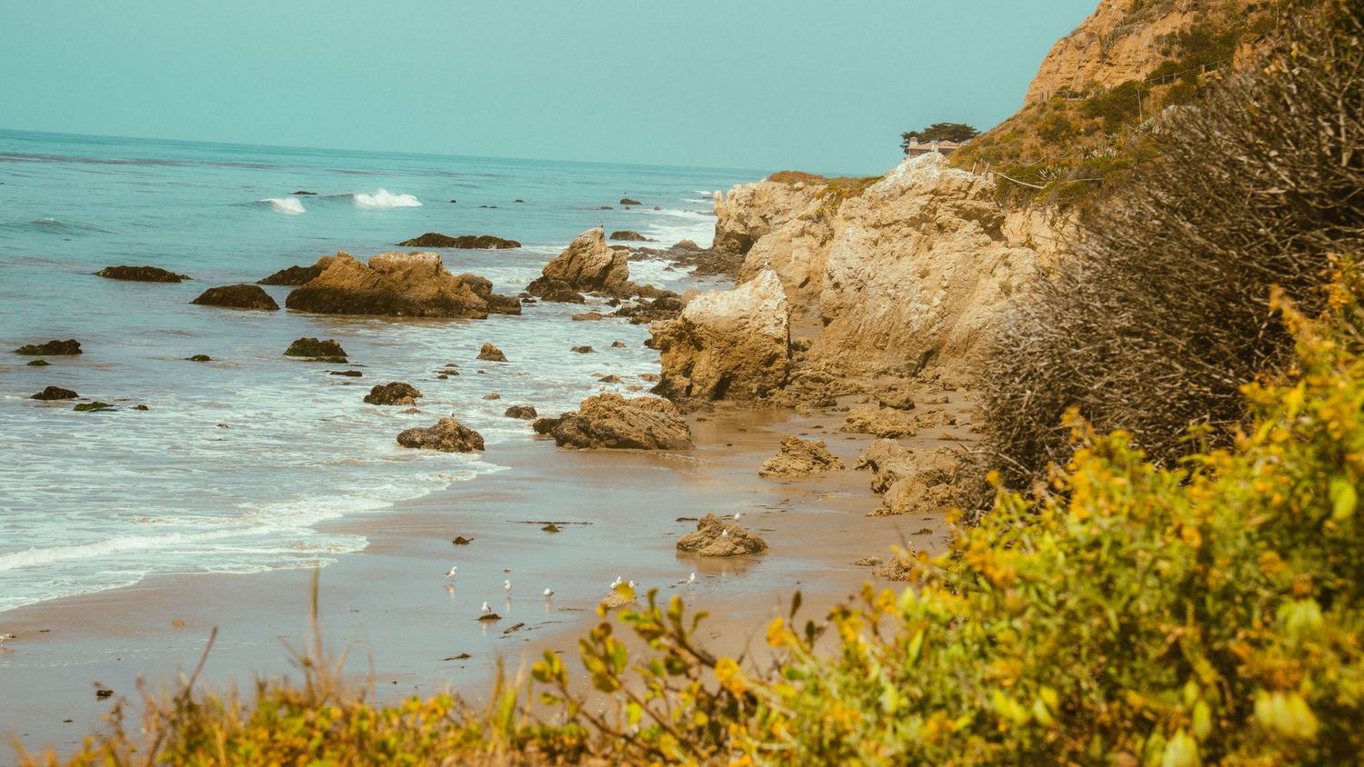 Golden cliffs and scattered rocks line a pristine beach along the Pacific coast.