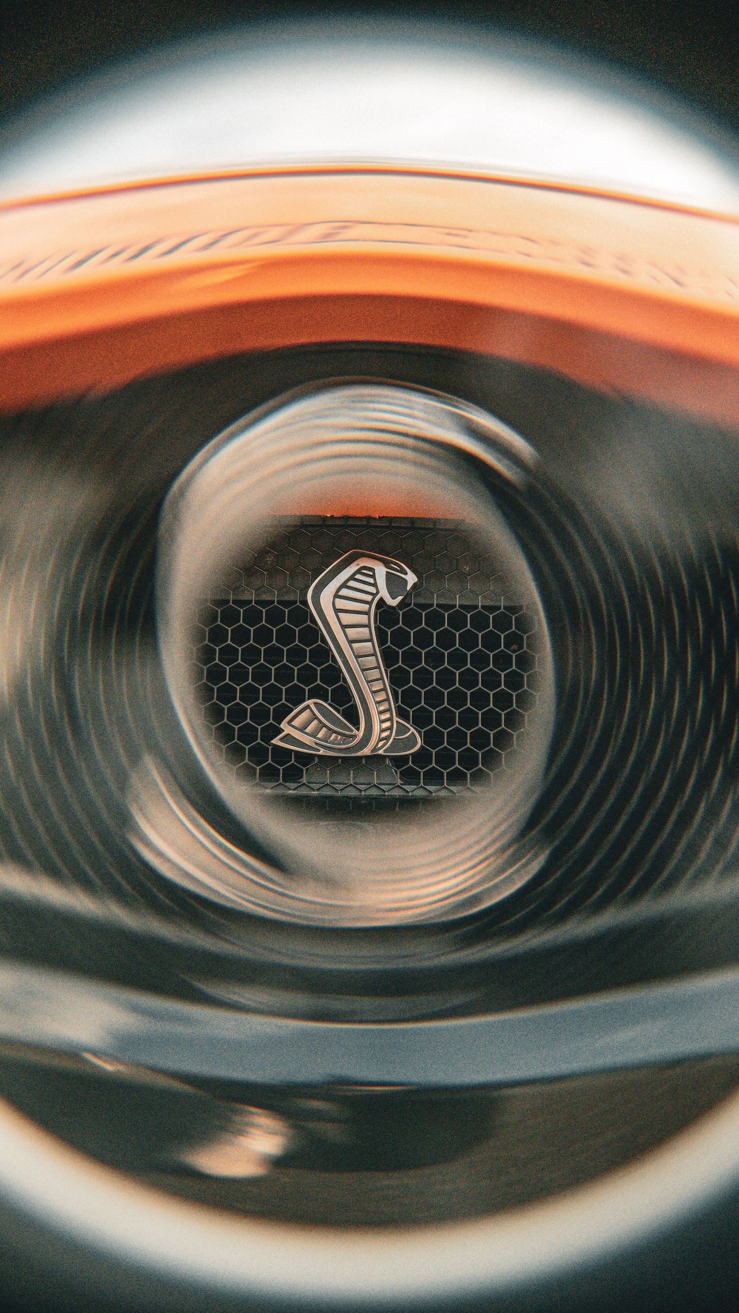 Artistic close-up of Shelby Cobra snake emblem on black honeycomb grille with vignette effect.