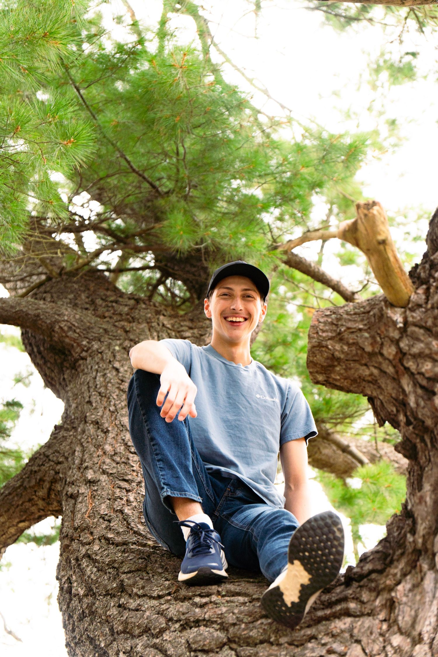 Smiling young person in a cap, blue t-shirt and jeans sits on a thick pine tree branch, seen from below against green foliage.