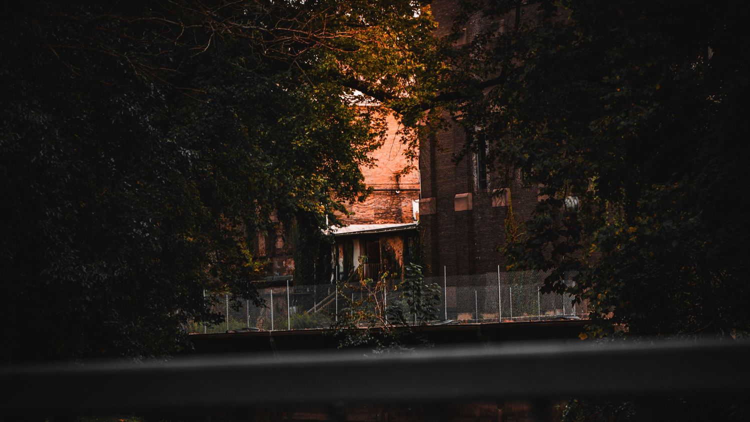 Brick building glimpsed through dark trees at sunset.