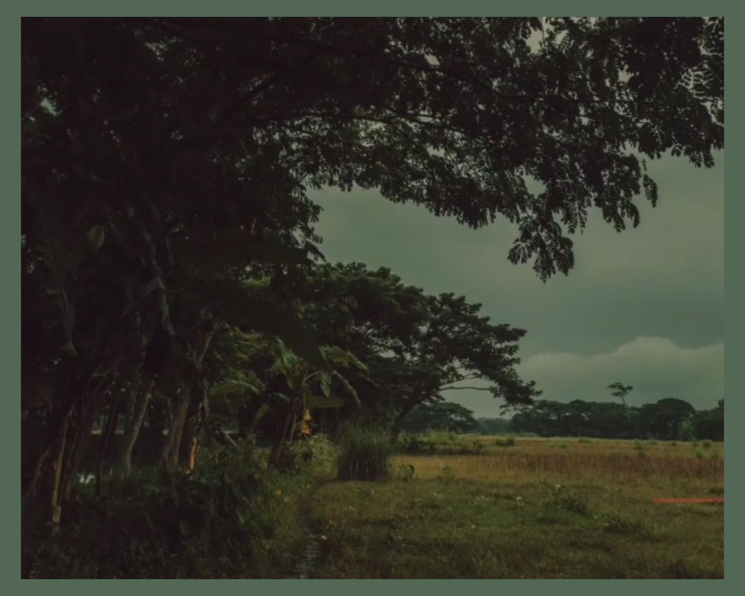 Panoramic view of a rural landscape with trees and fields under moody skies.
