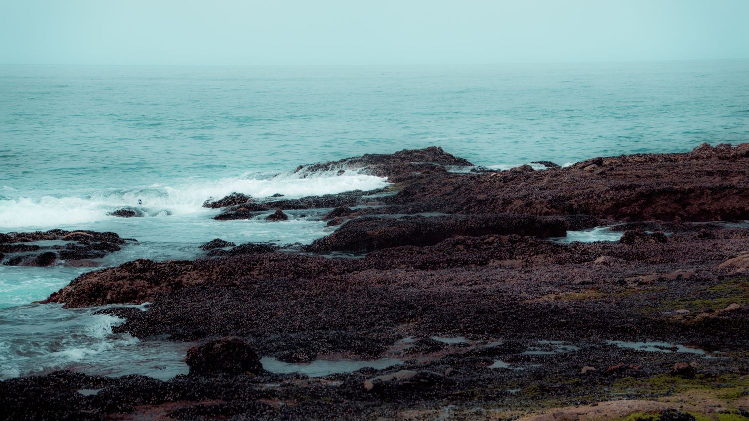 Rocky coastal shoreline with dark volcanic rocks against turquoise waters.