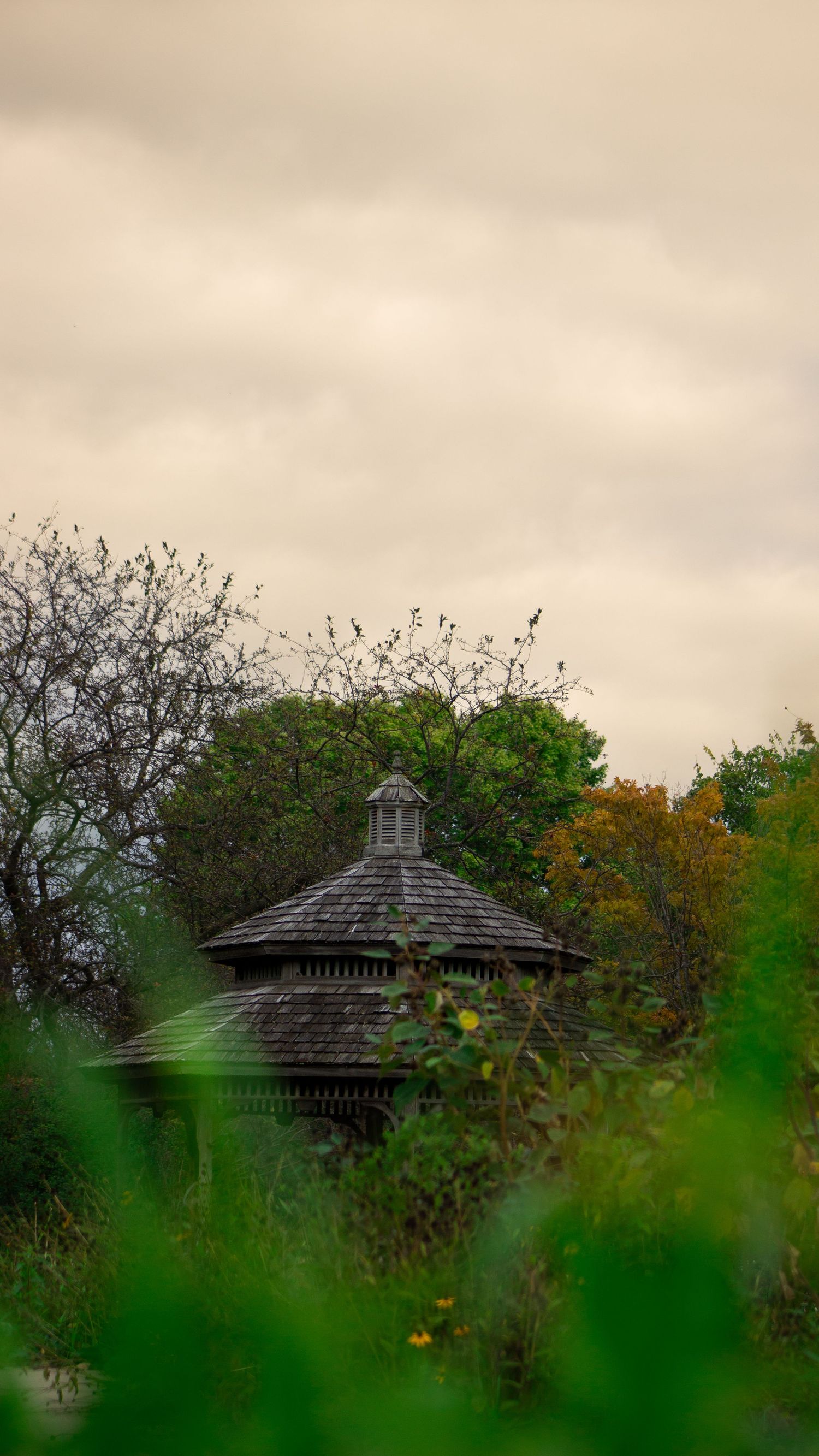 Rustic wooden gazebo surrounded by autumn trees and foliage.